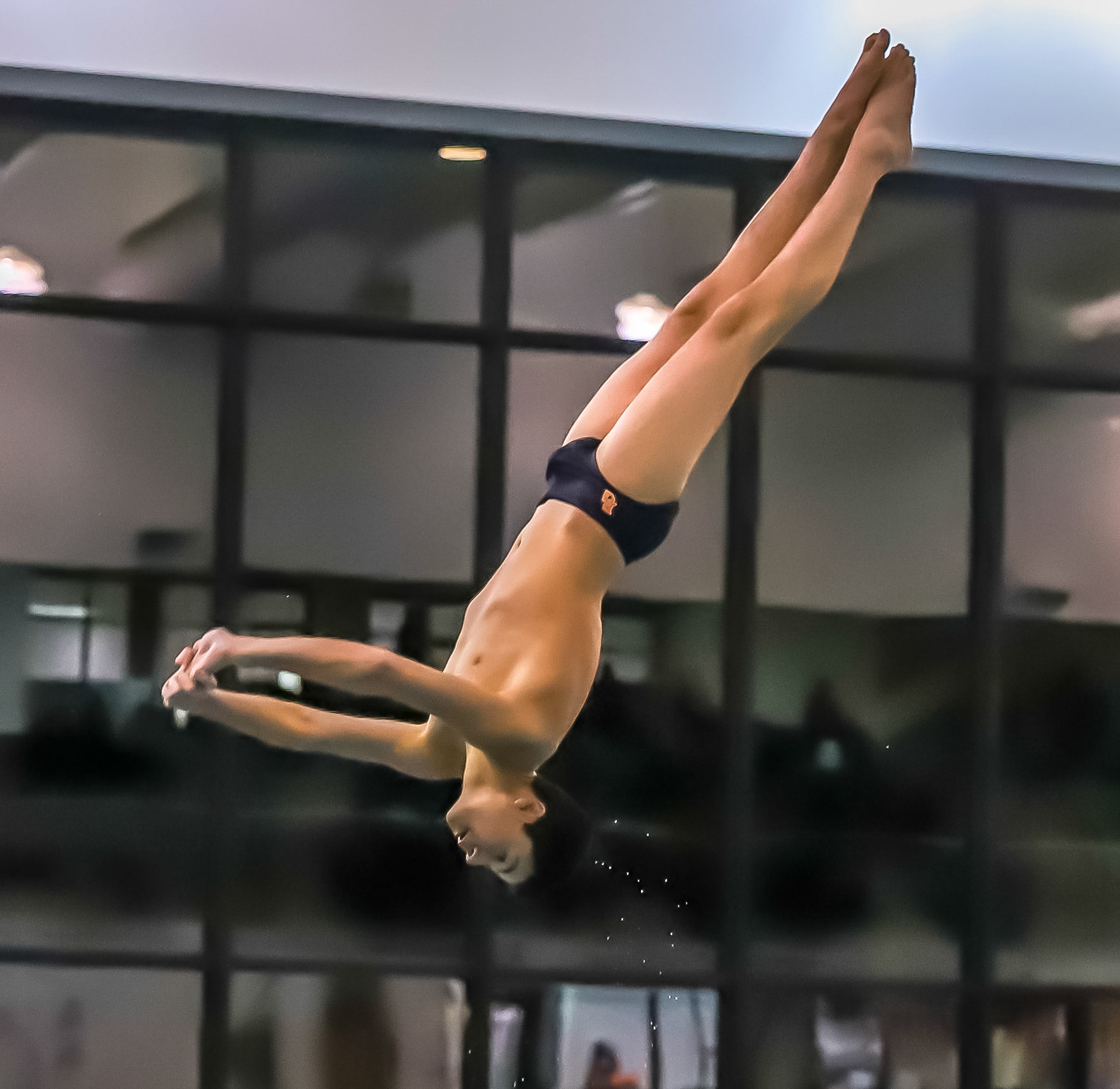 Buffalo Grove High School