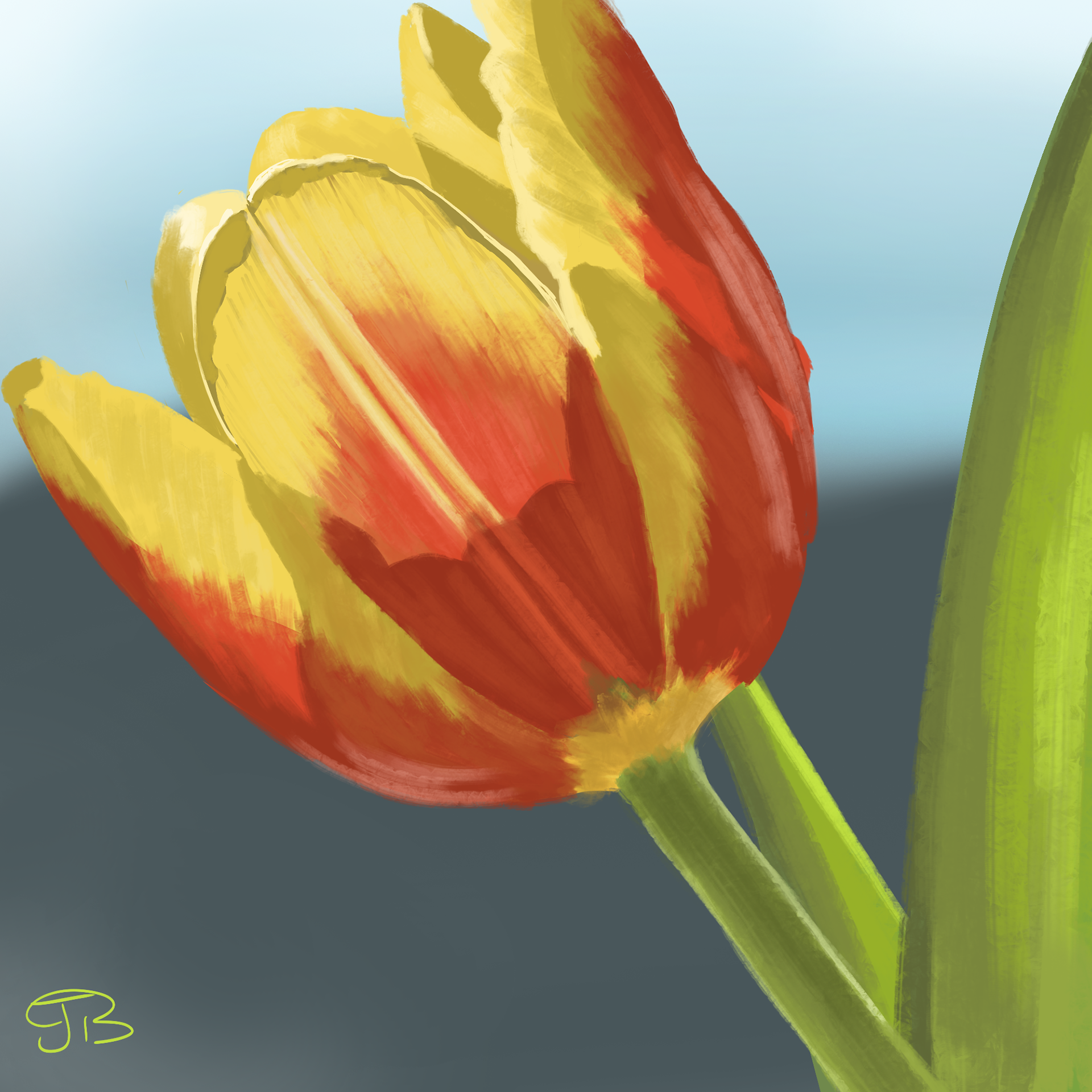 Spring
