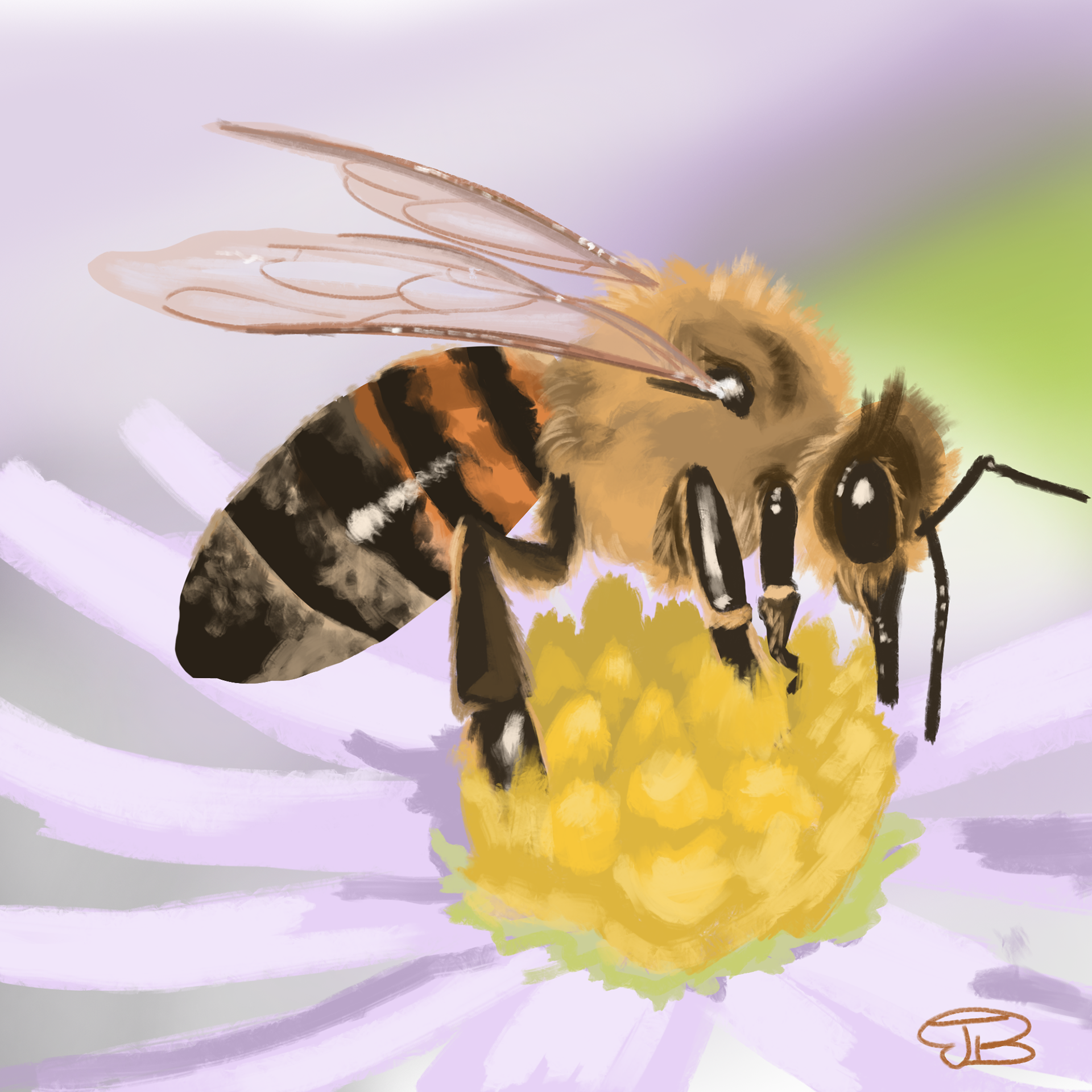 Bee