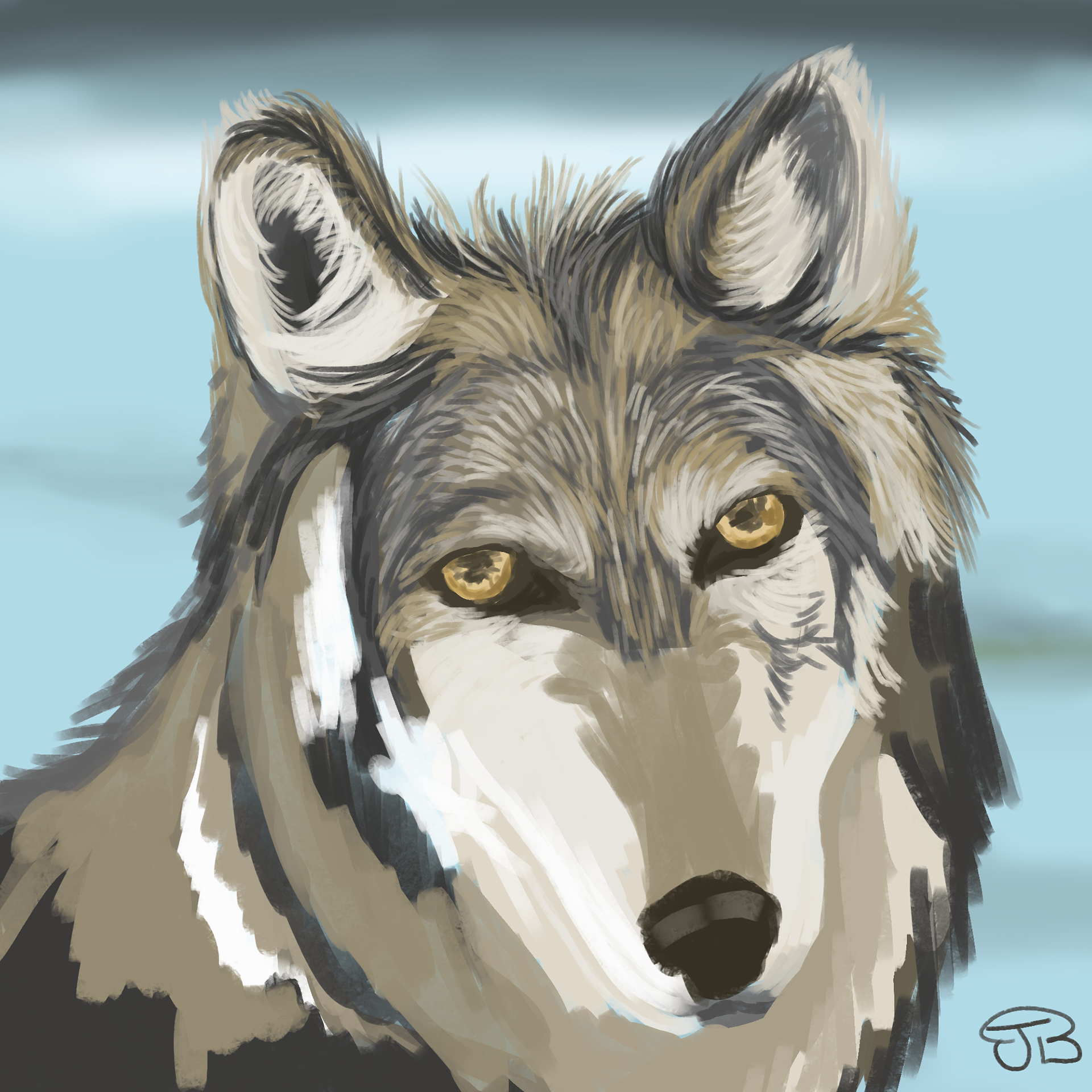 Wolf