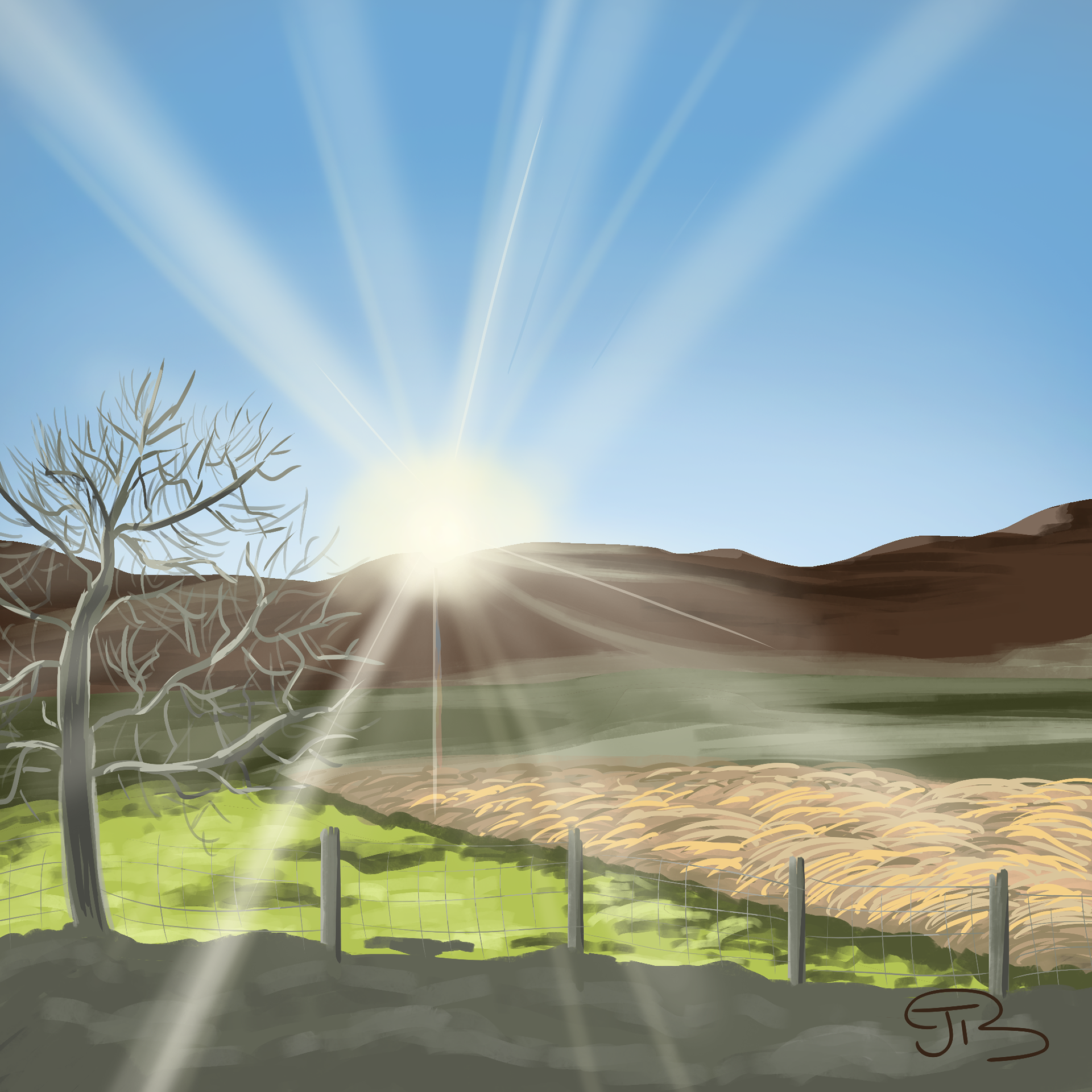 Sunshine