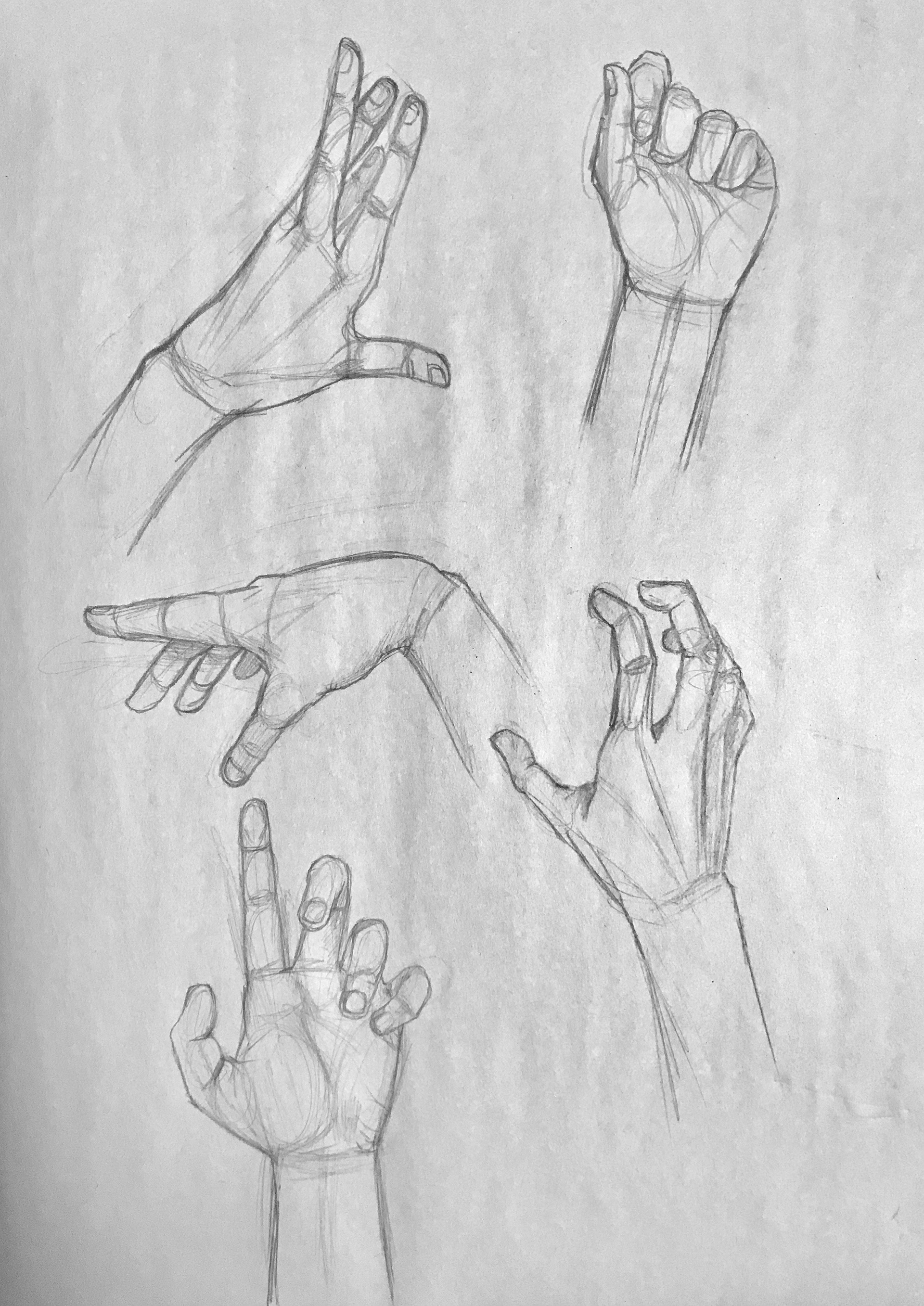 Hand Study