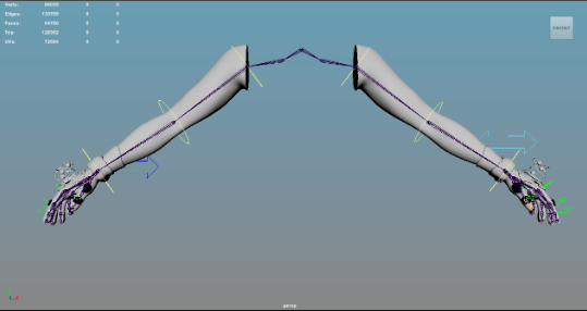 Model Rig