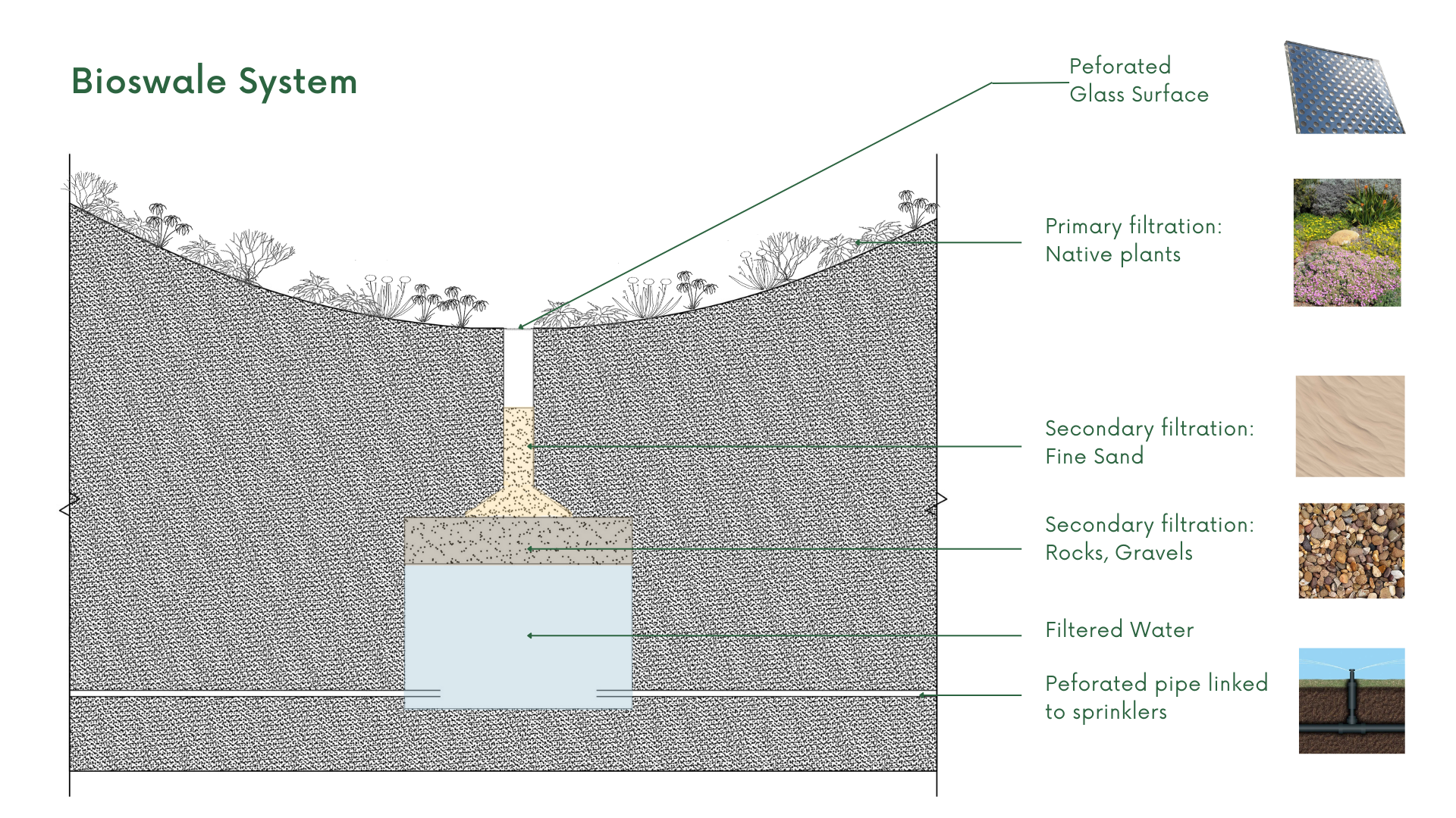 Bioswale and water filtration system. A section detail showing multi-layered filtration through native plants, sand, and gravel, collecting and reusing stormwater for on-site irrigation.