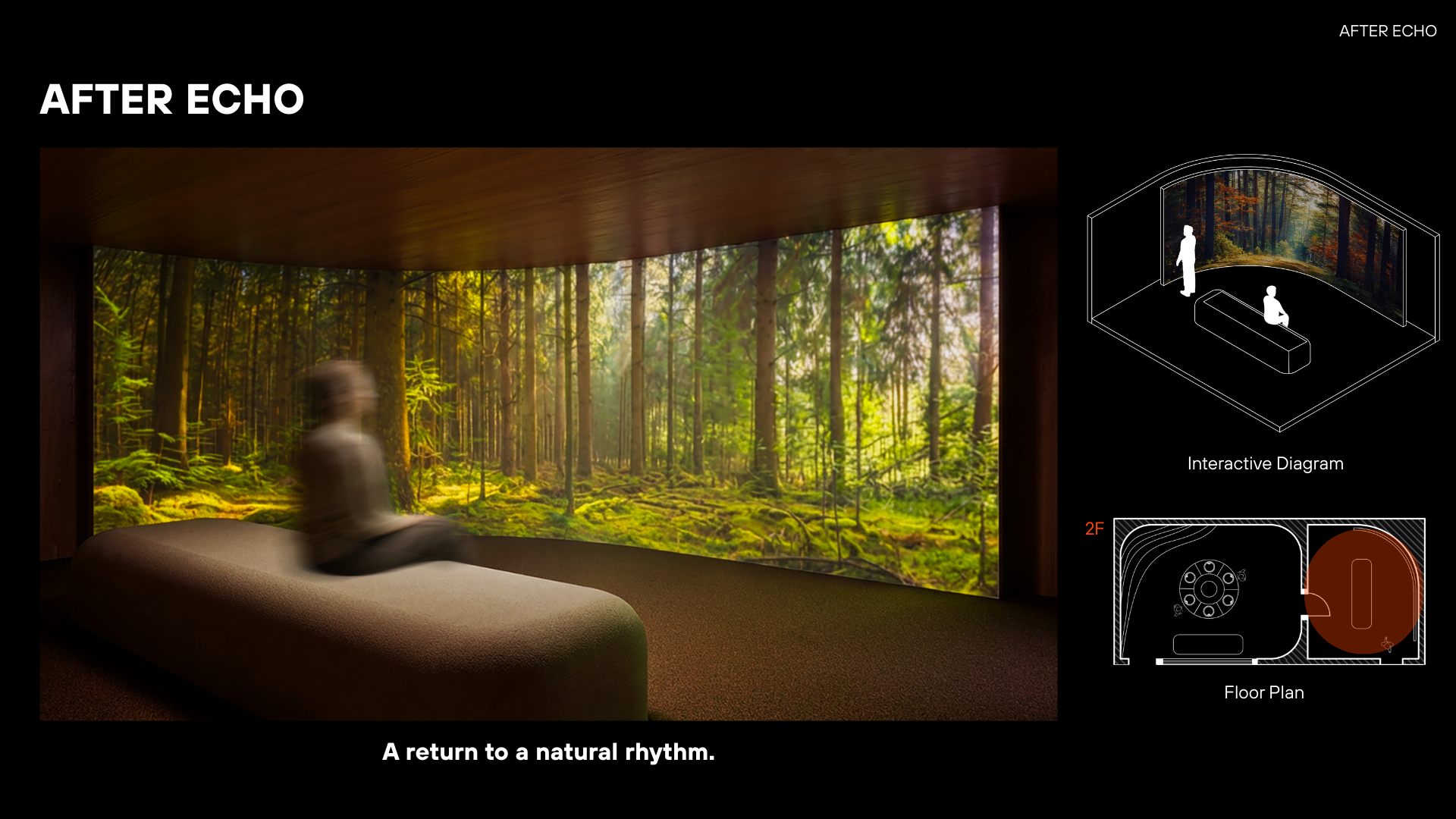 After Echo: Final decompression space with natural soundscapes and nature visuals.