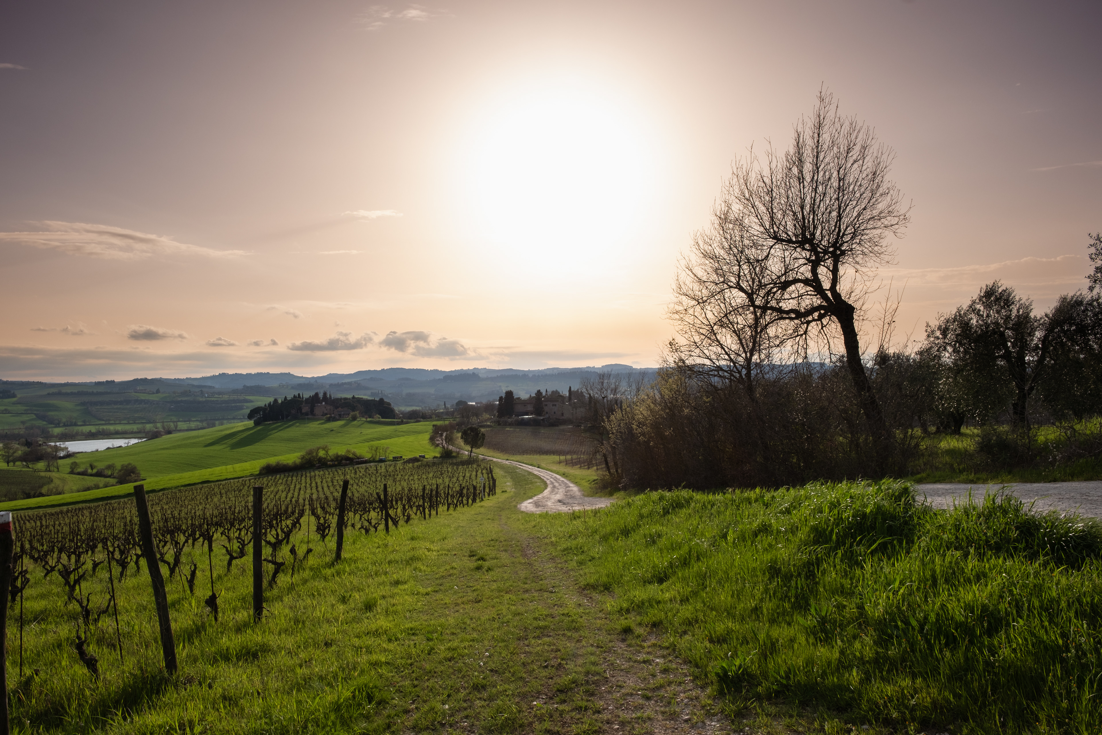 Chianti