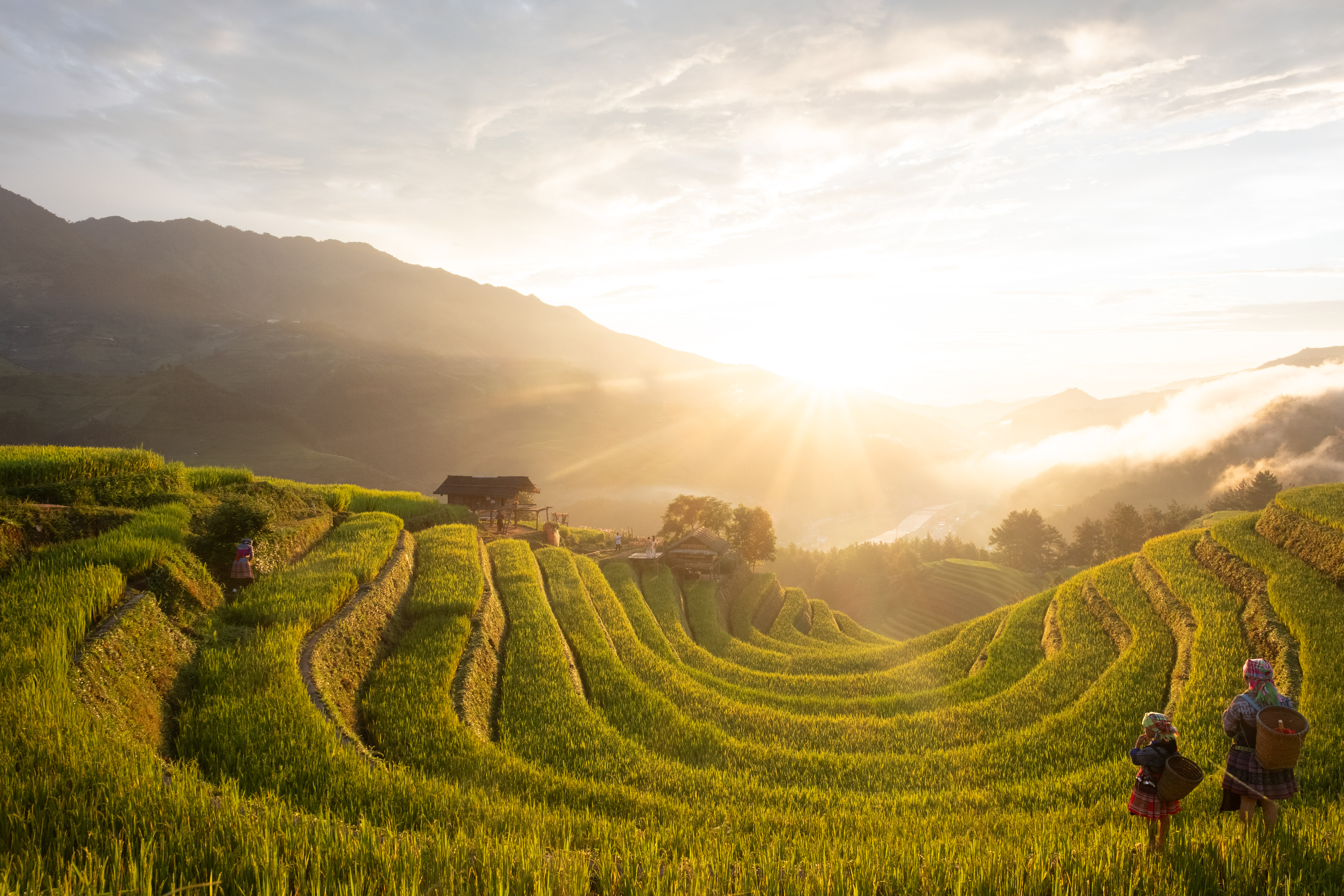 Vietnam, risaie Mu Cang Chai