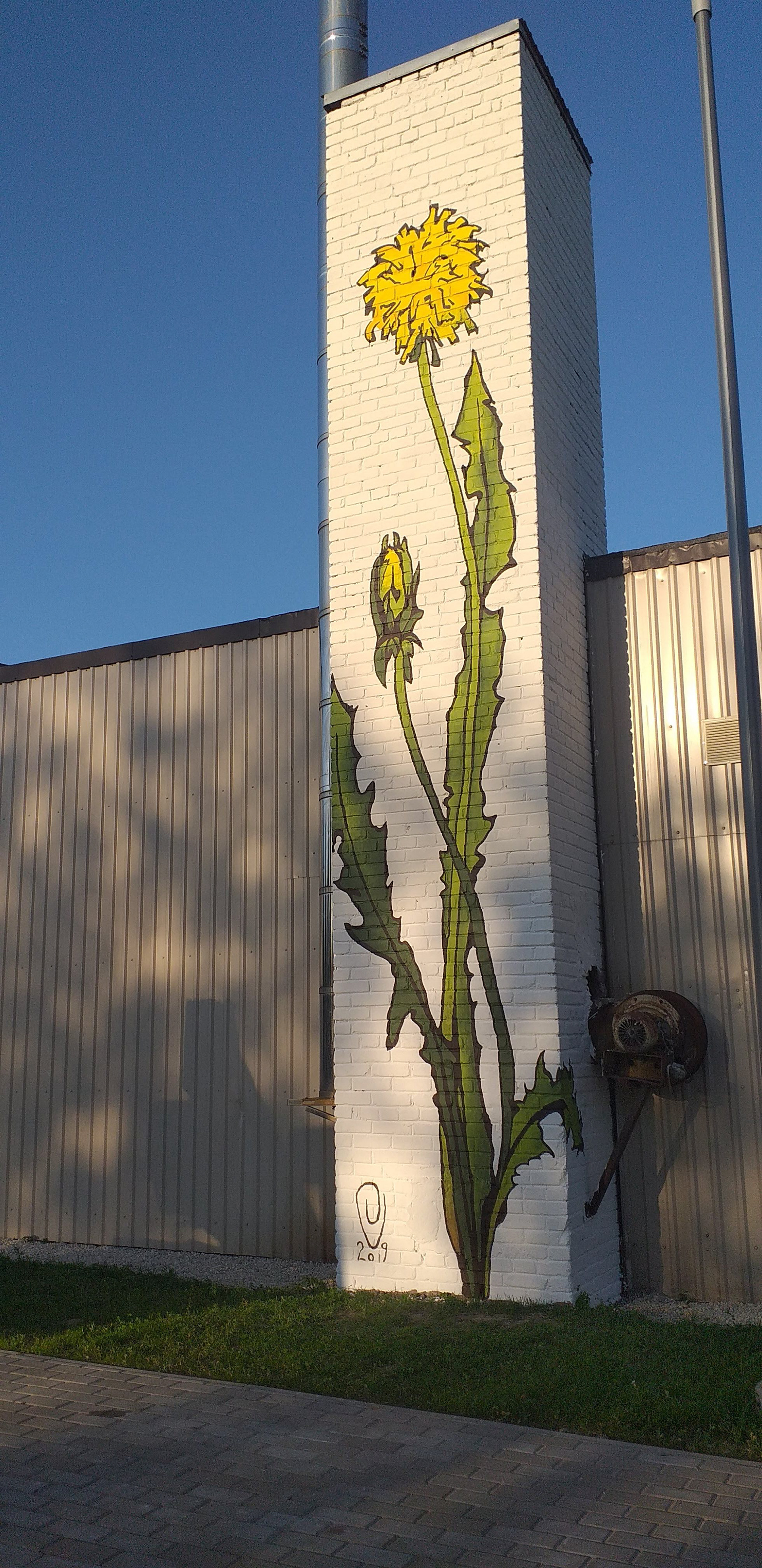 Dandelion. Põltsamaa Health Center 2019