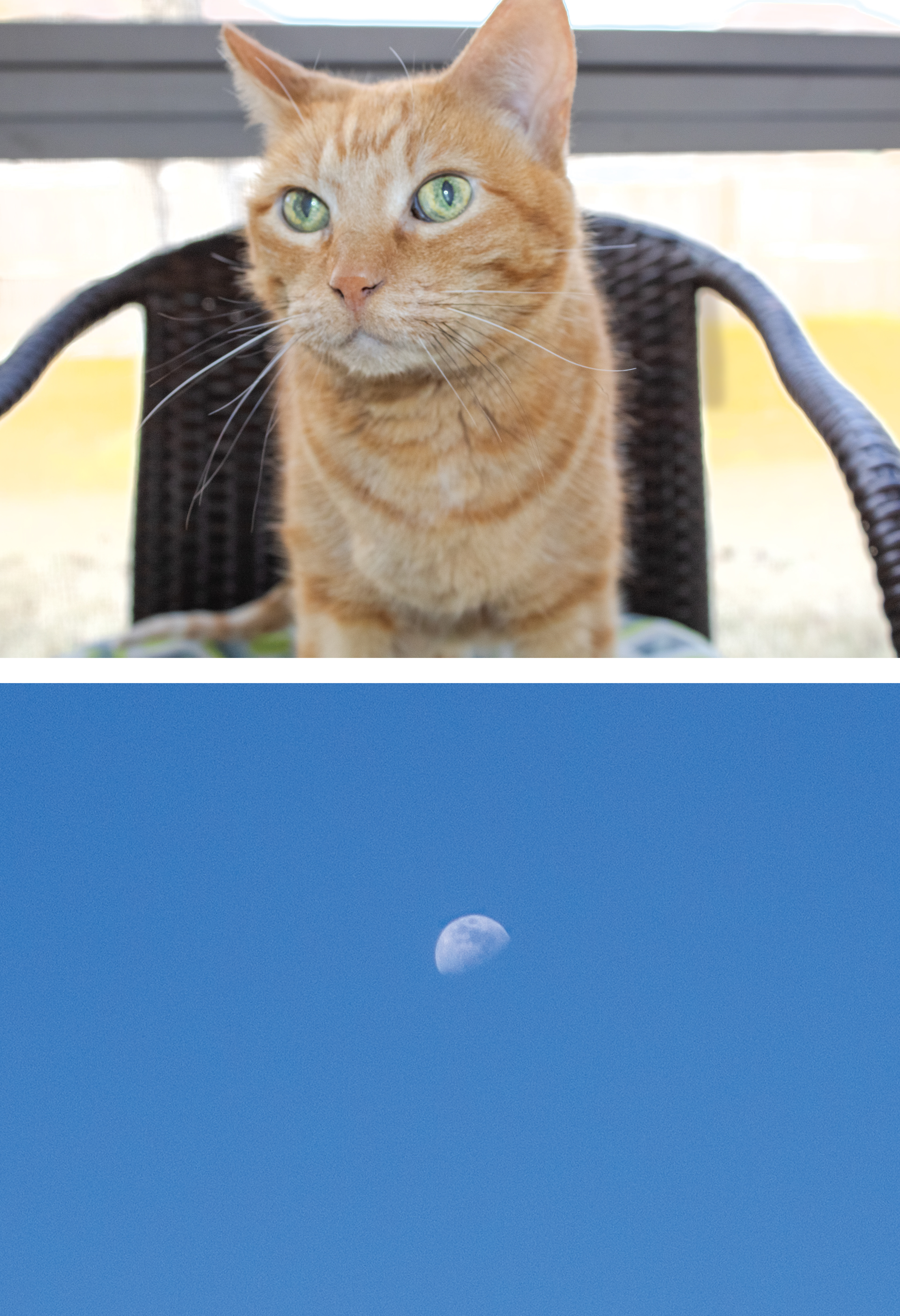 Diptych