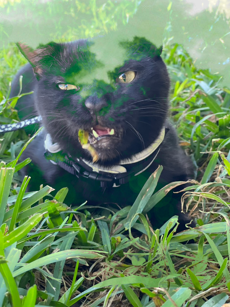 Double Exposure