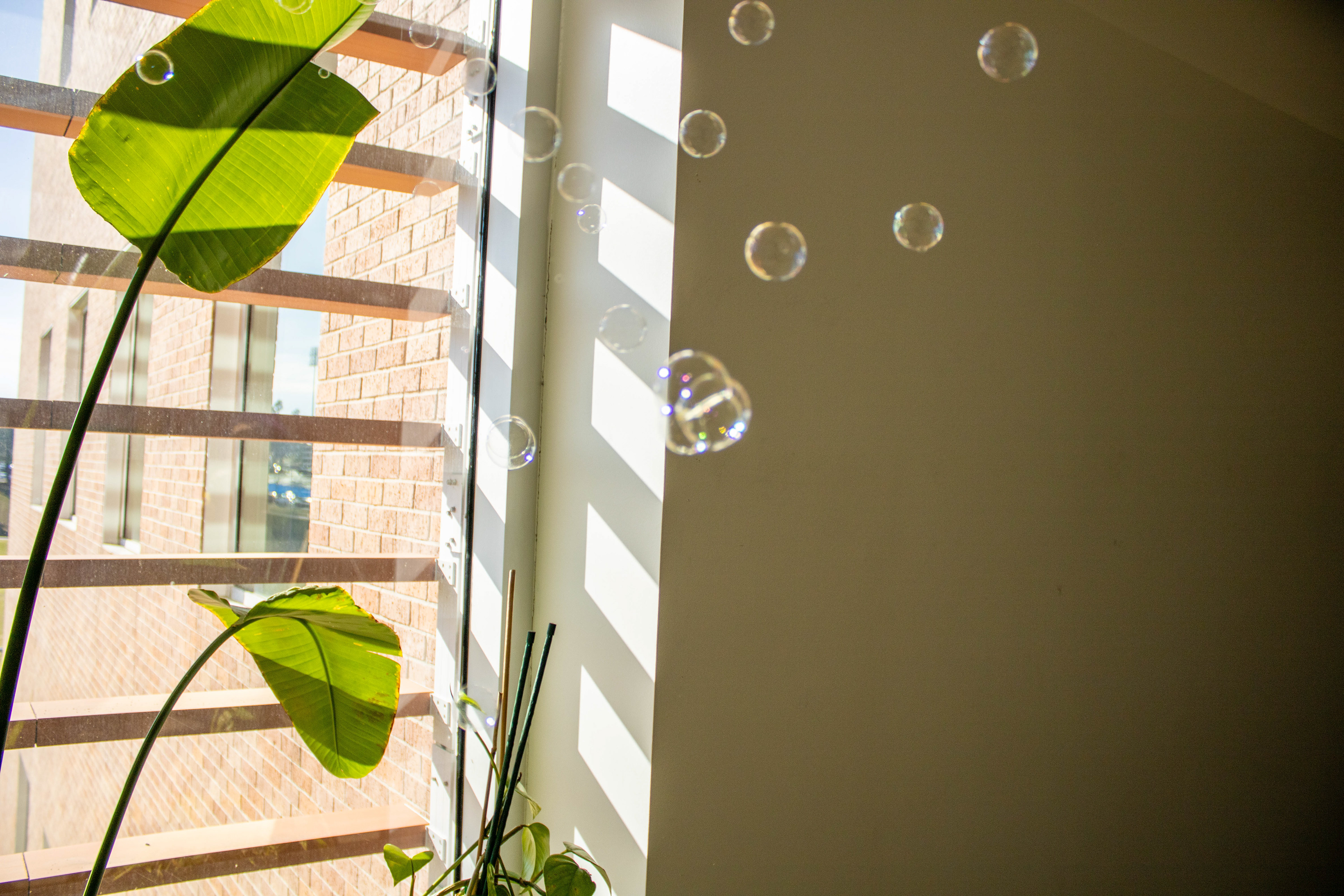 Bubbles 2