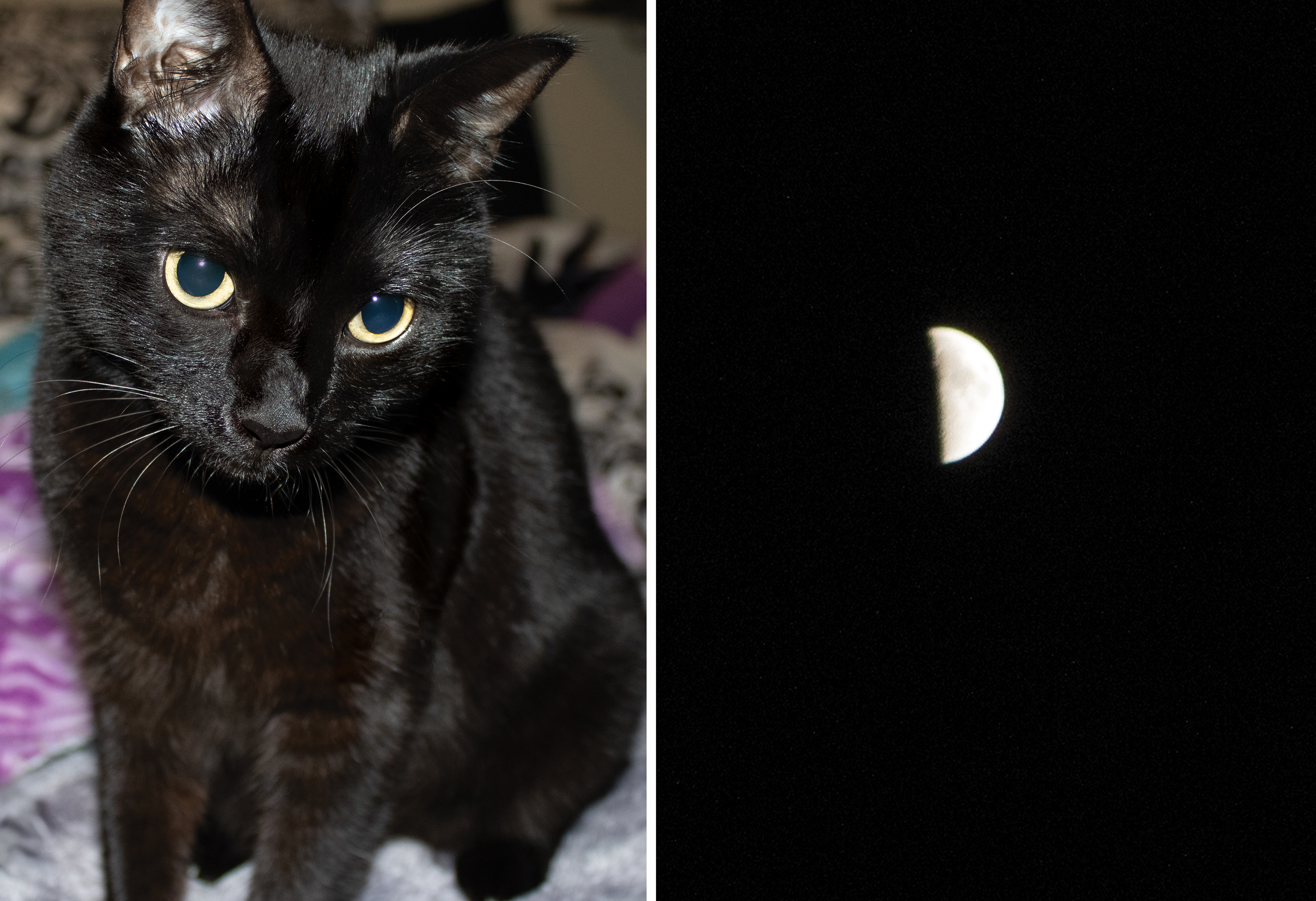 Diptych