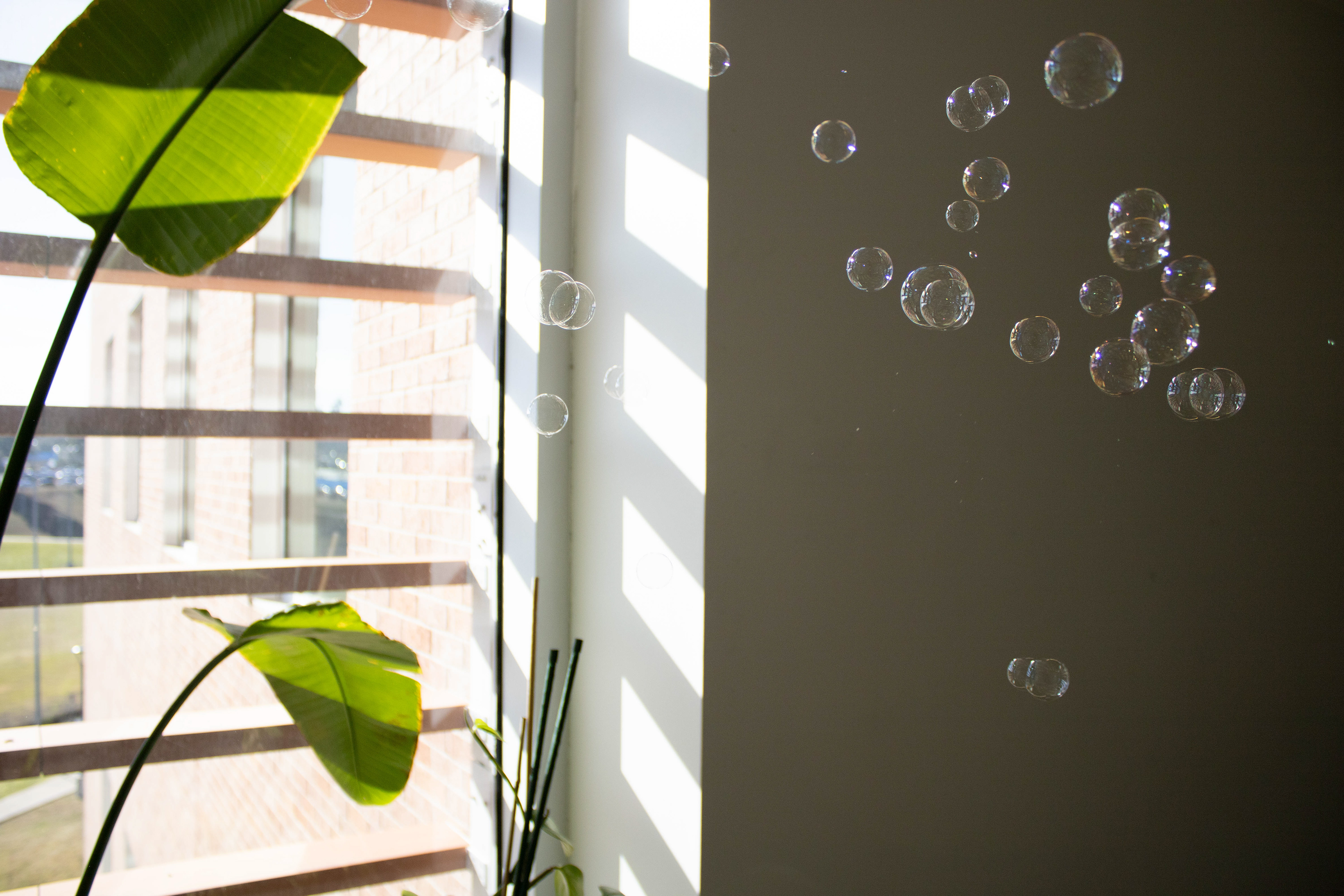 Bubbles 1