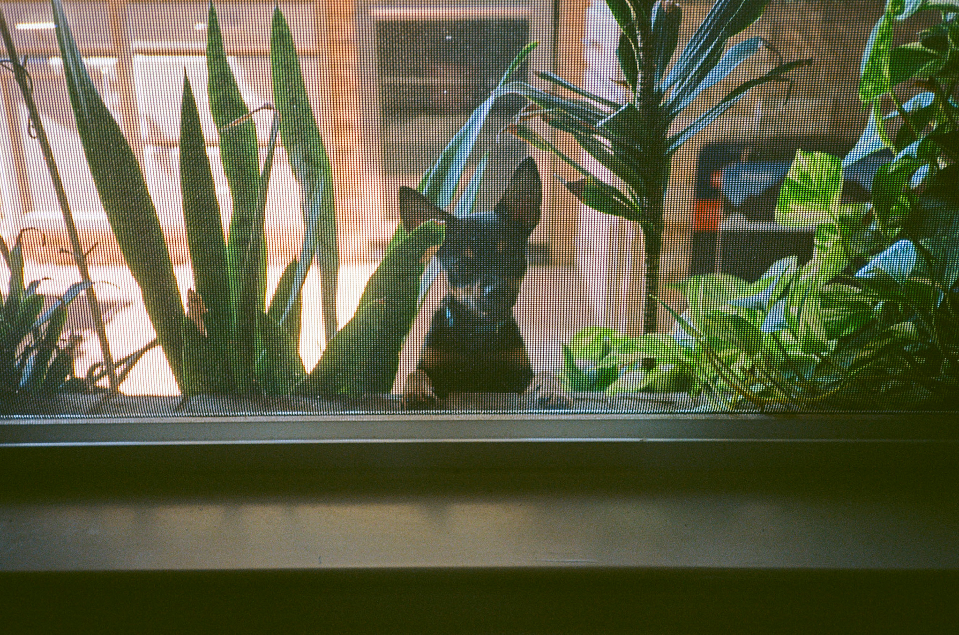 how fast can it go? - Image 18