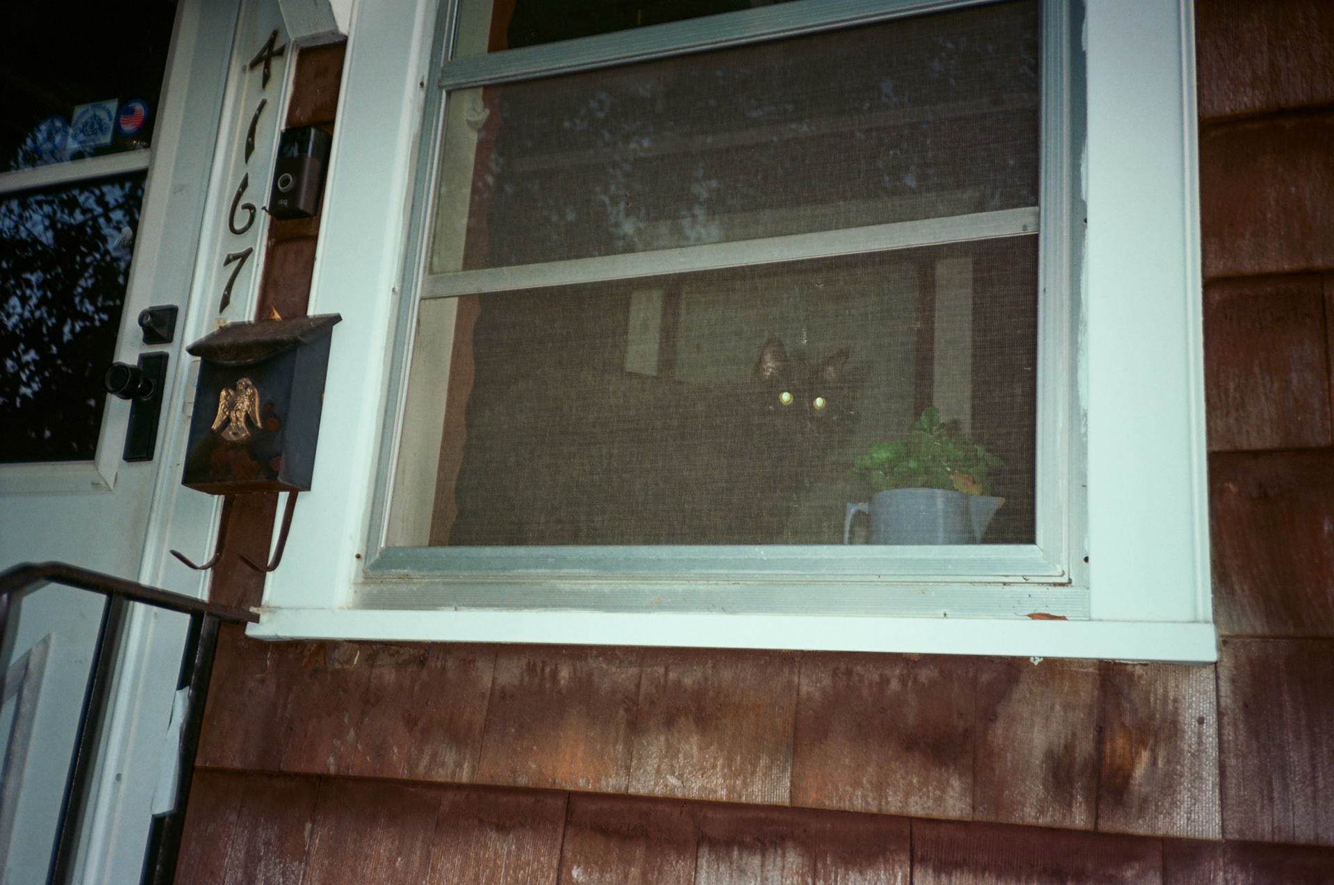 run to the sun - Image 3