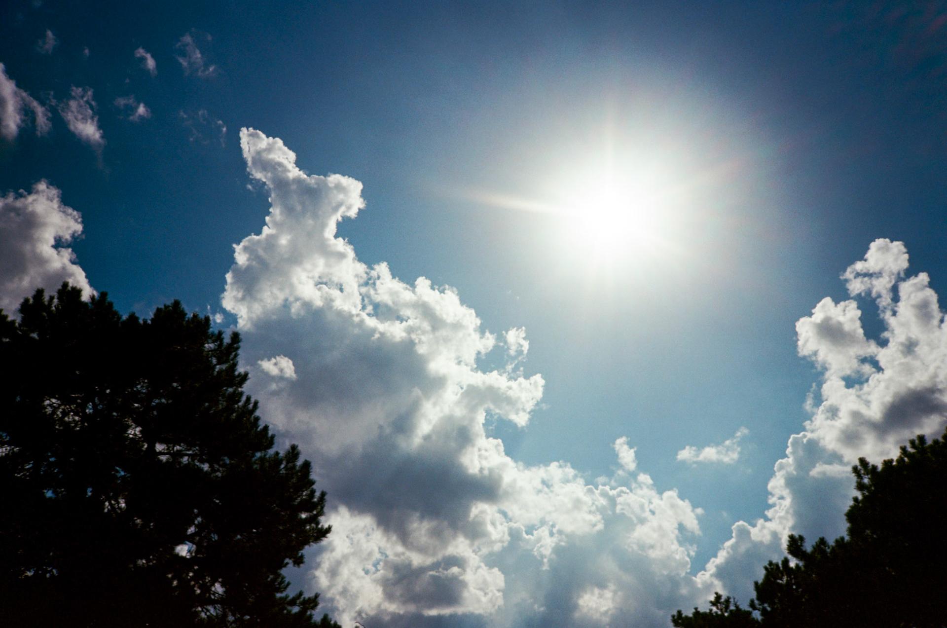 they'll never take the joy from us - Image 30