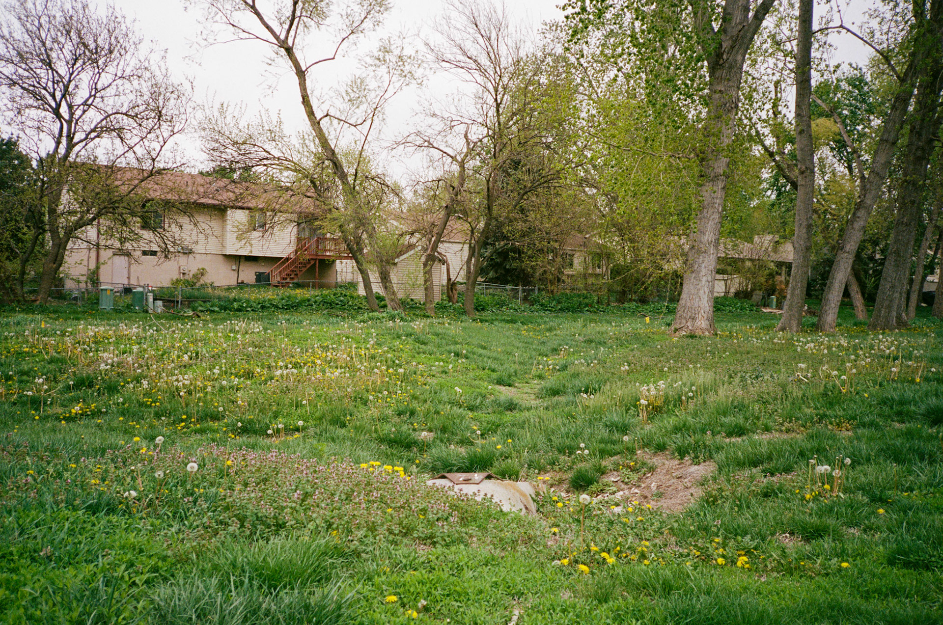 i guess we just go get 'em - Image 18