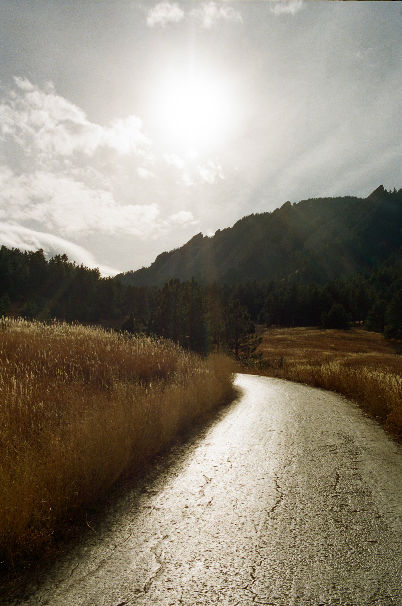 when the money goes, will the honey stay? - Image 89