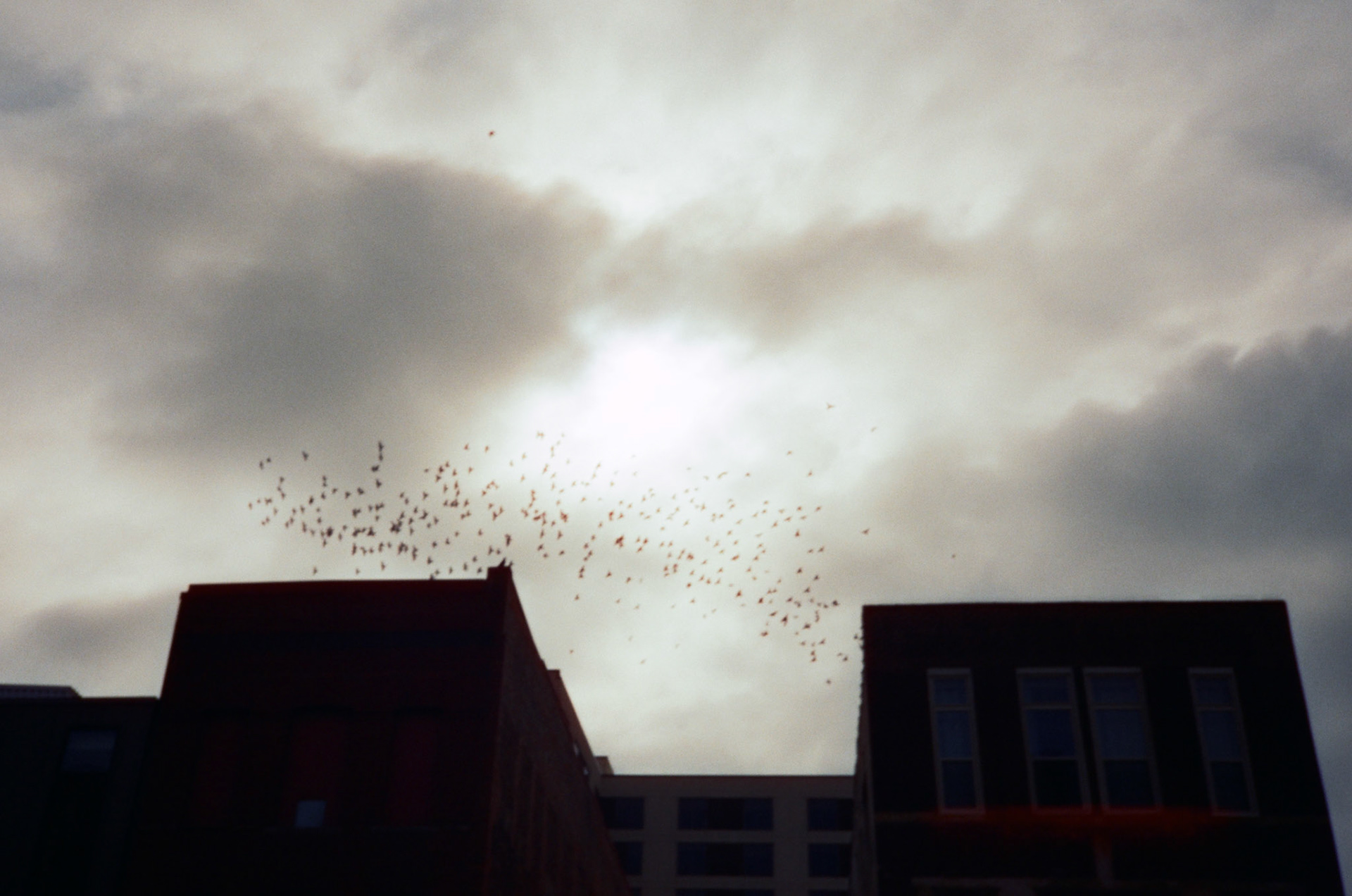 when the money goes, will the honey stay? - Image 55