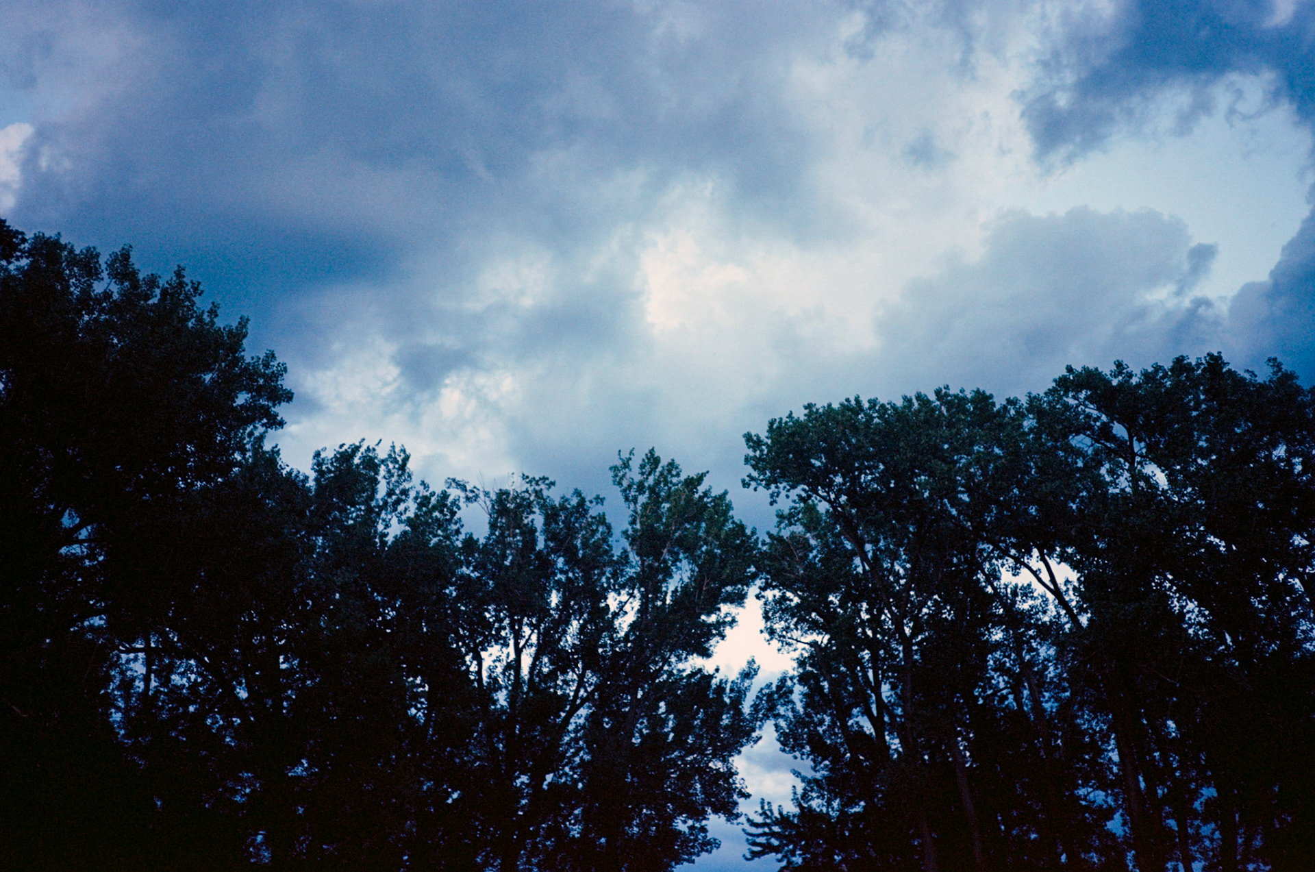 run to the sun - Image 7