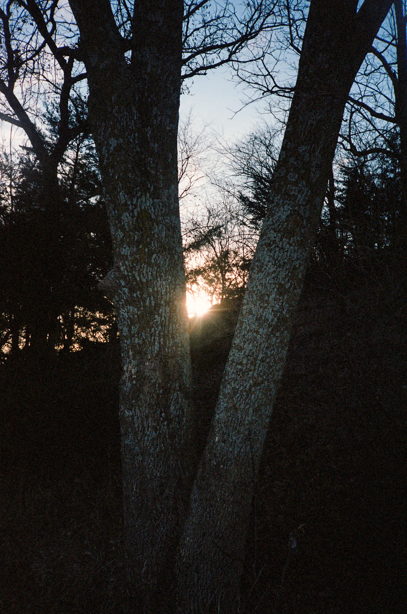 for me, don't change - Image 28