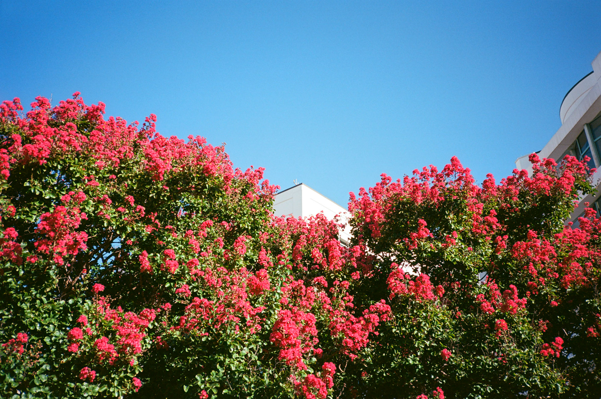 how fast can it go? - Image 23