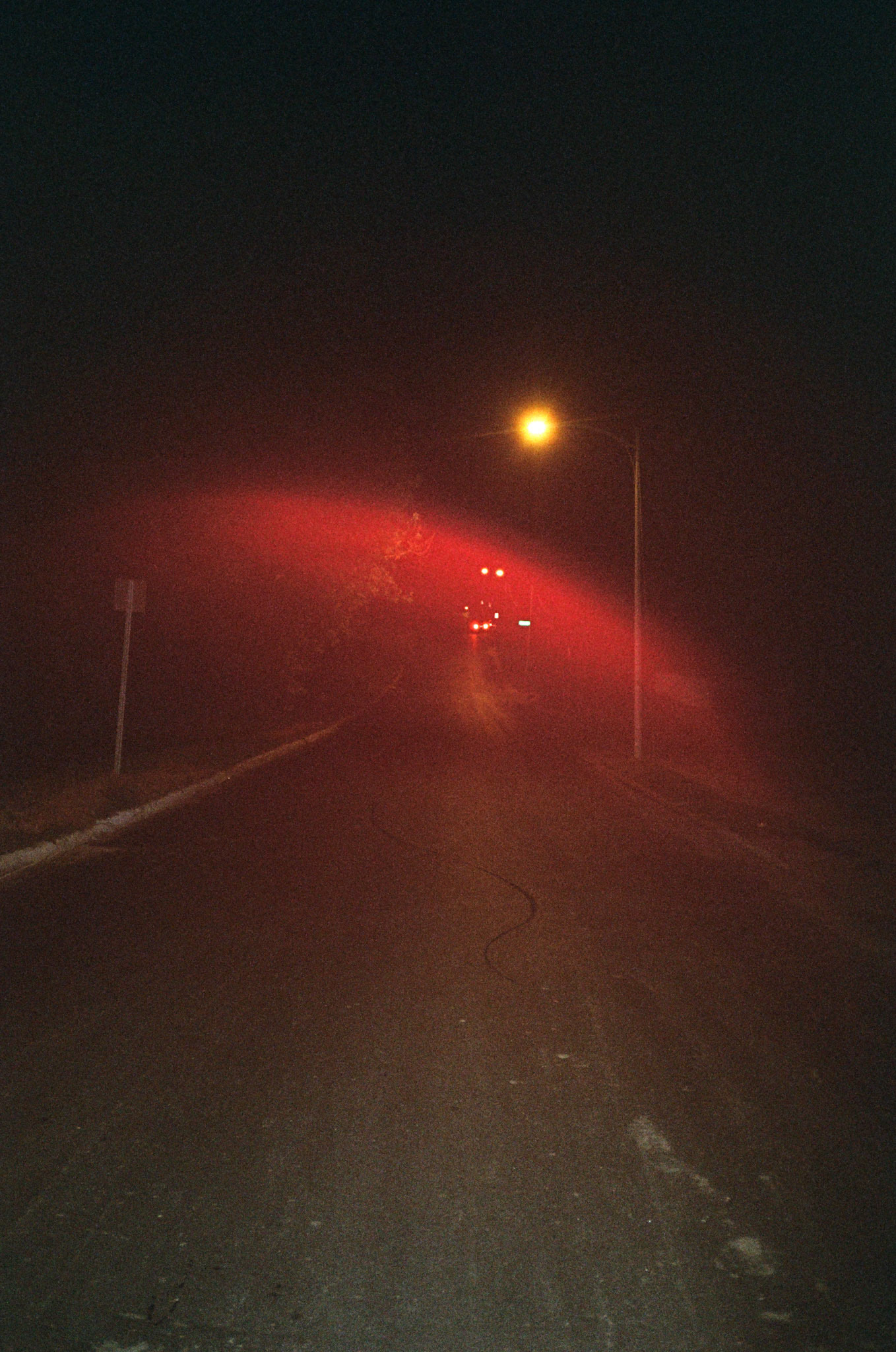 they'll never take the joy from us - Image 59