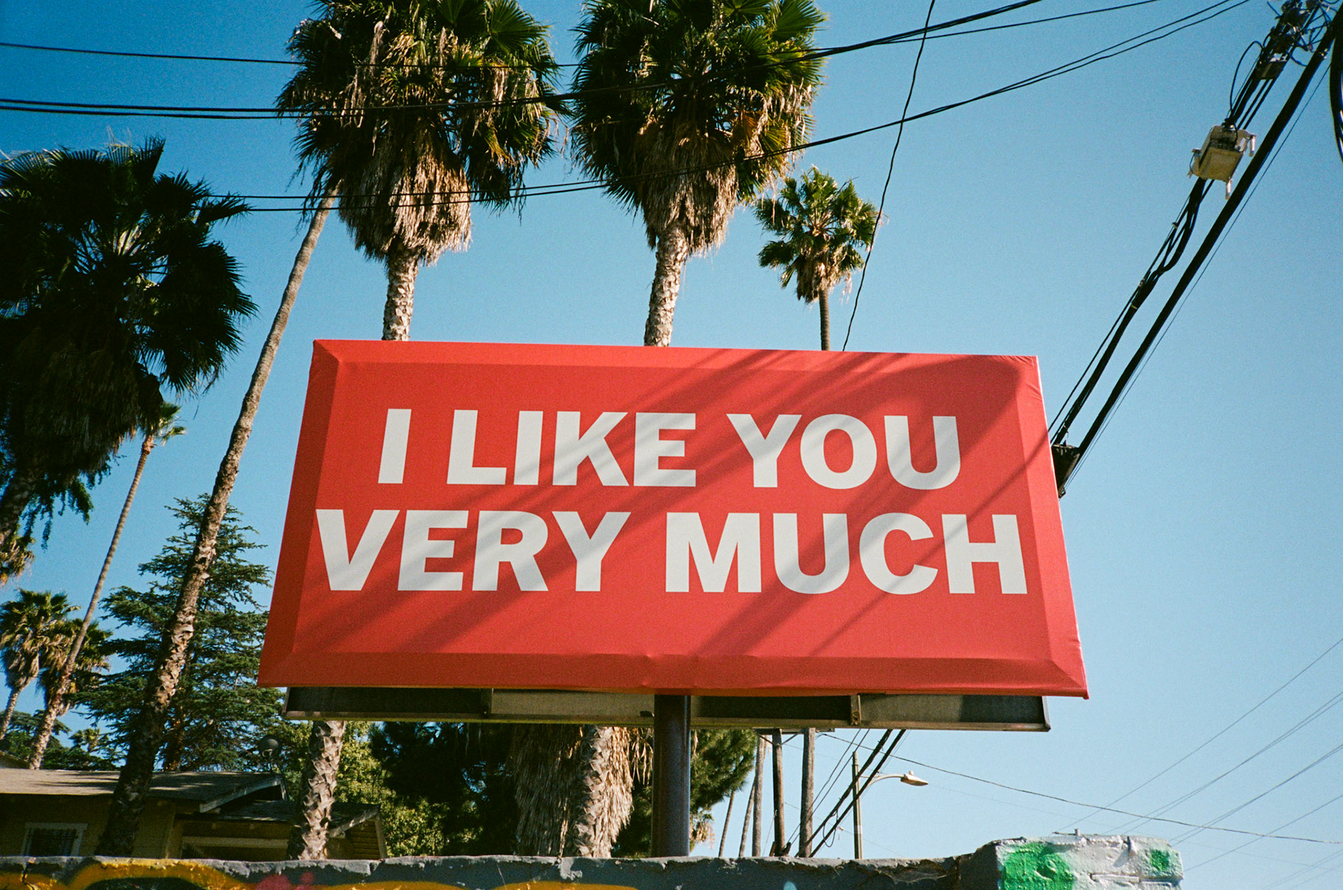 i guess we just go get 'em - Image 10