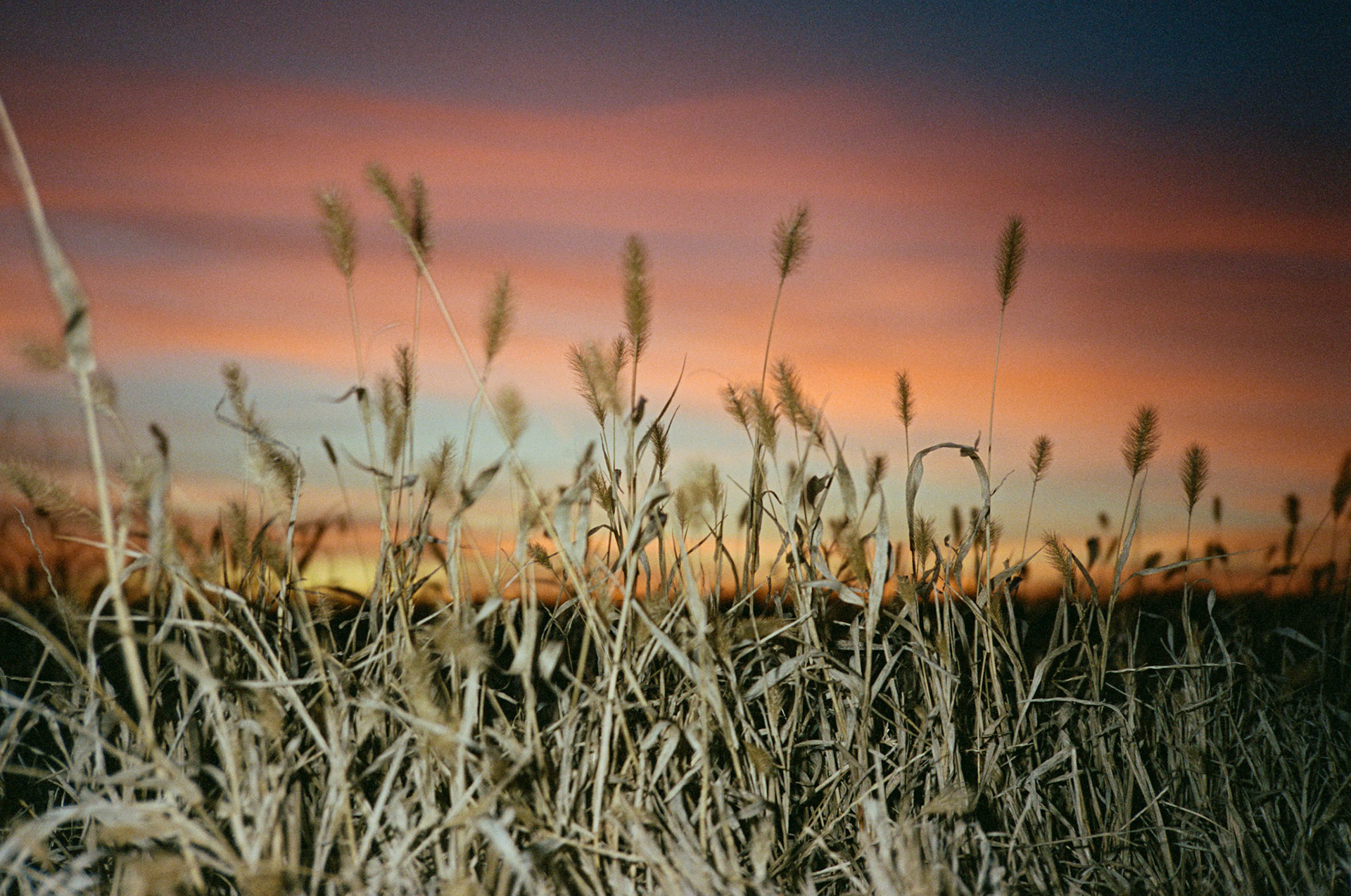 for me, don't change - Image 22