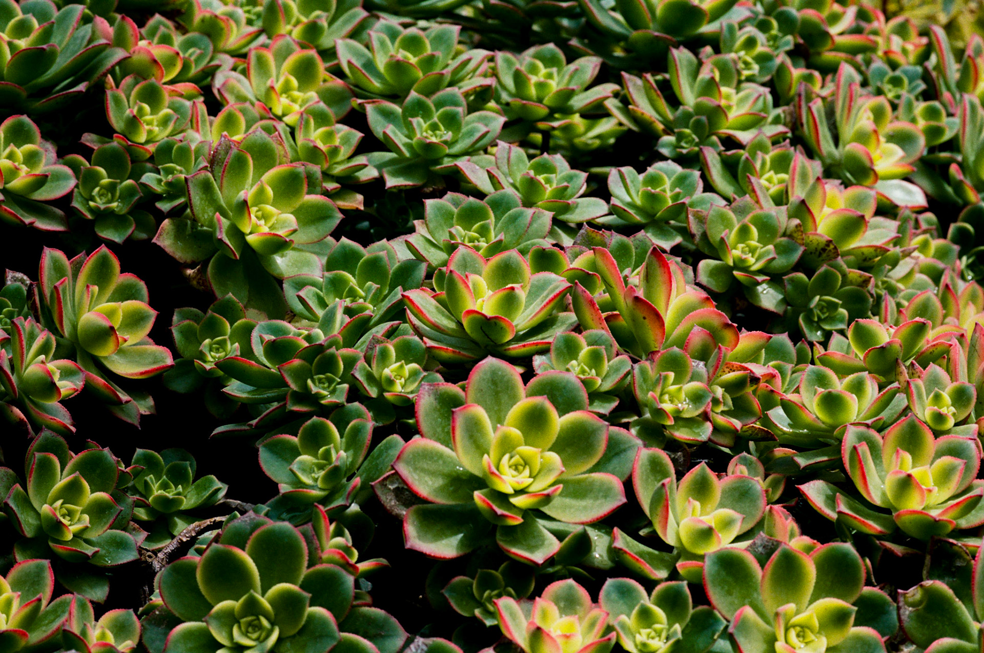 i guess we just go get 'em - Image 42