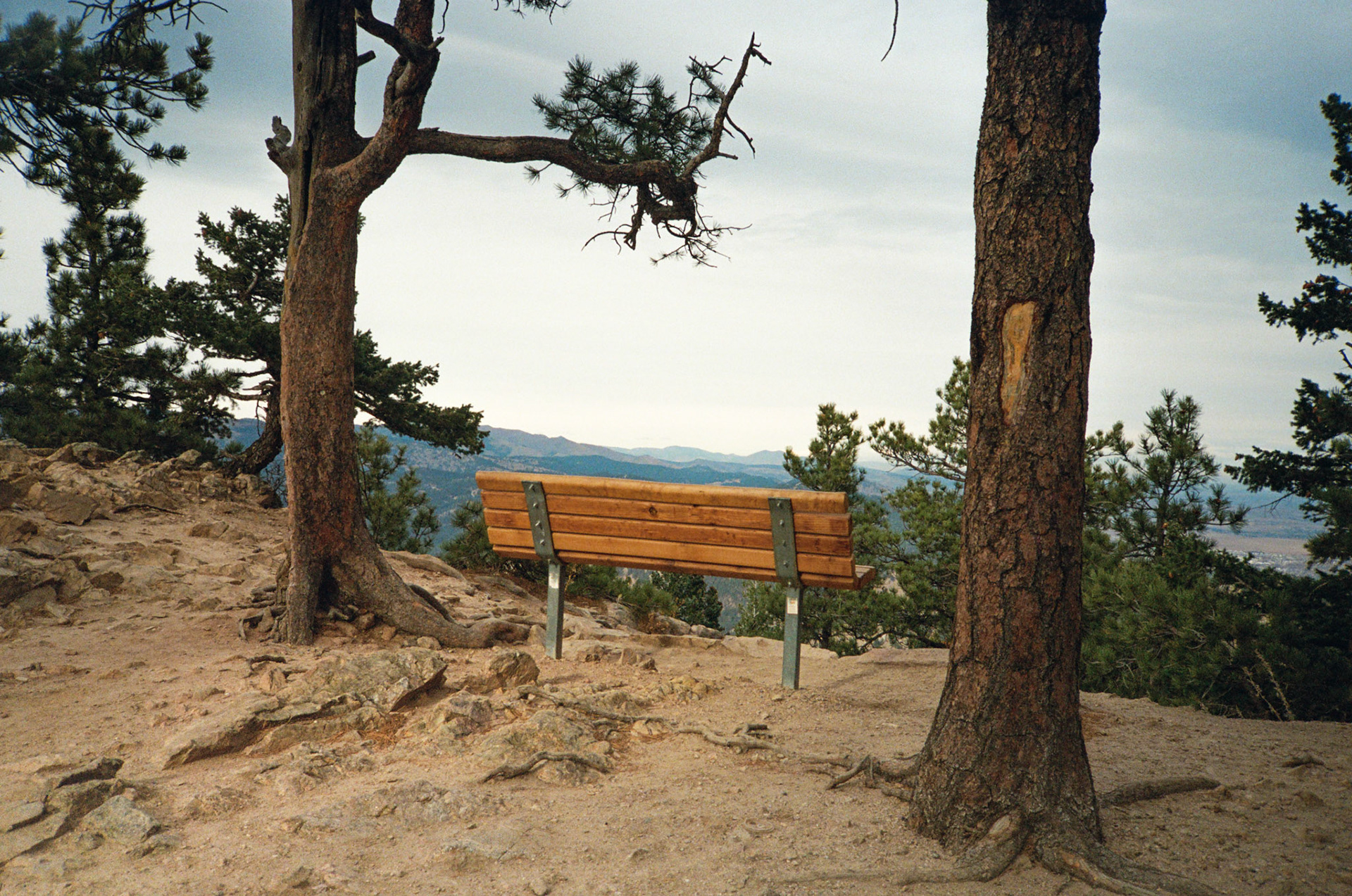 when the money goes, will the honey stay? - Image 56