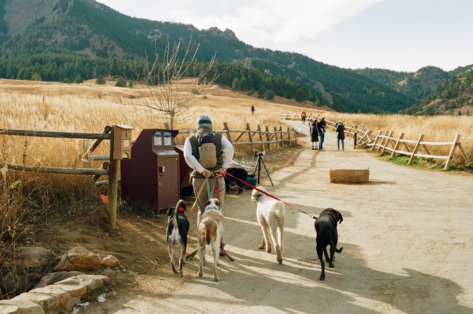 when the money goes, will the honey stay? - Image 58