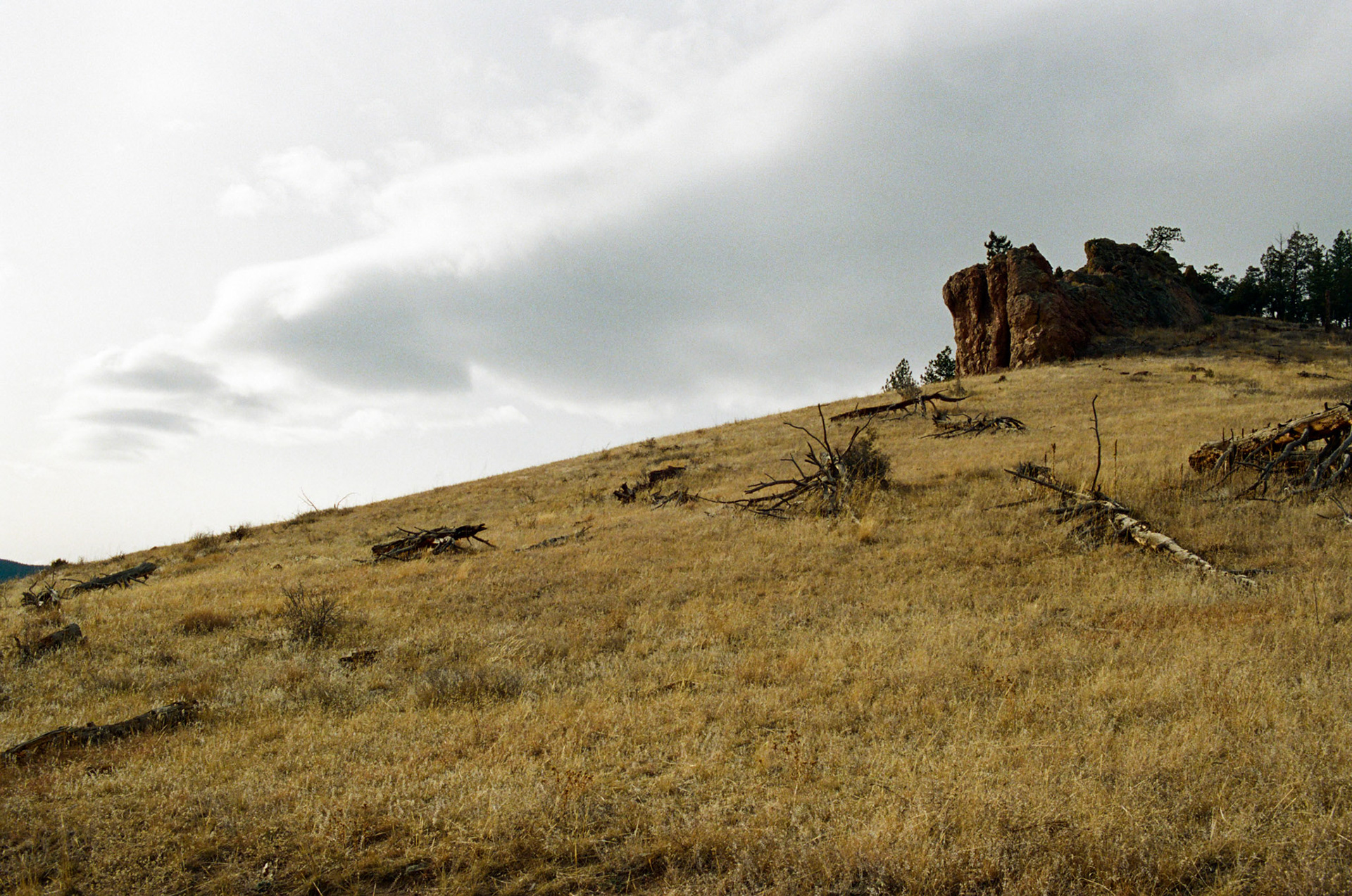 when the money goes, will the honey stay? - Image 21