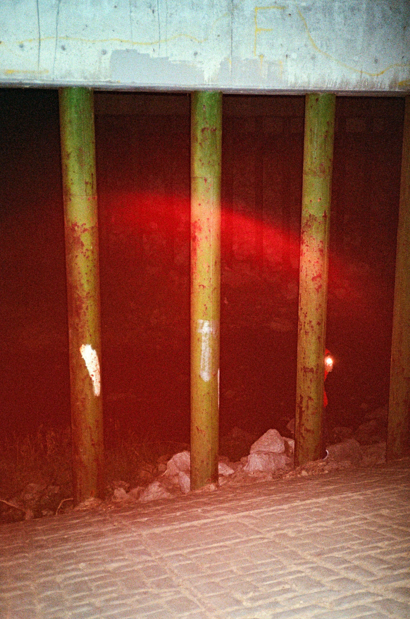 they'll never take the joy from us - Image 63