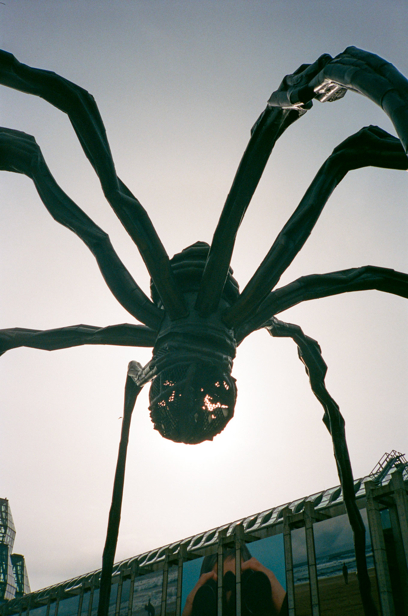 walk out the door - Image 37