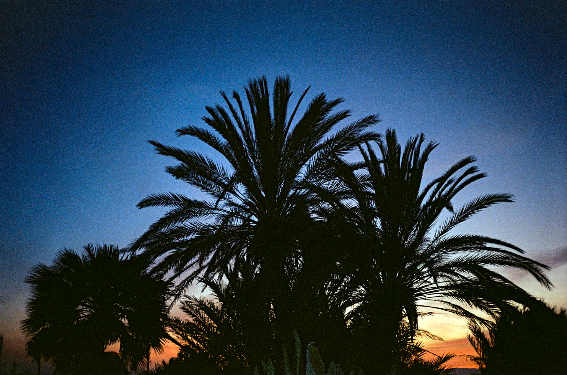 i guess we just go get 'em - Image 51