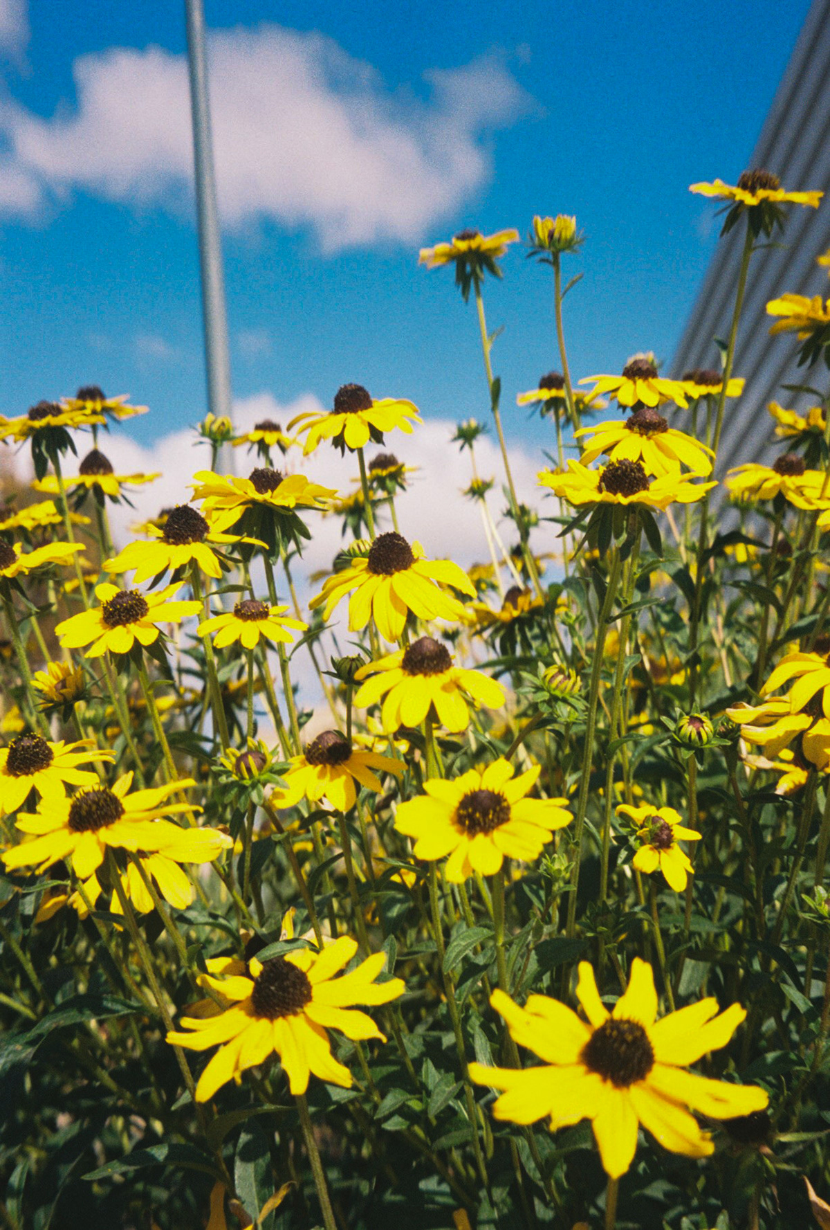 hands in the air if you made it - Image 68