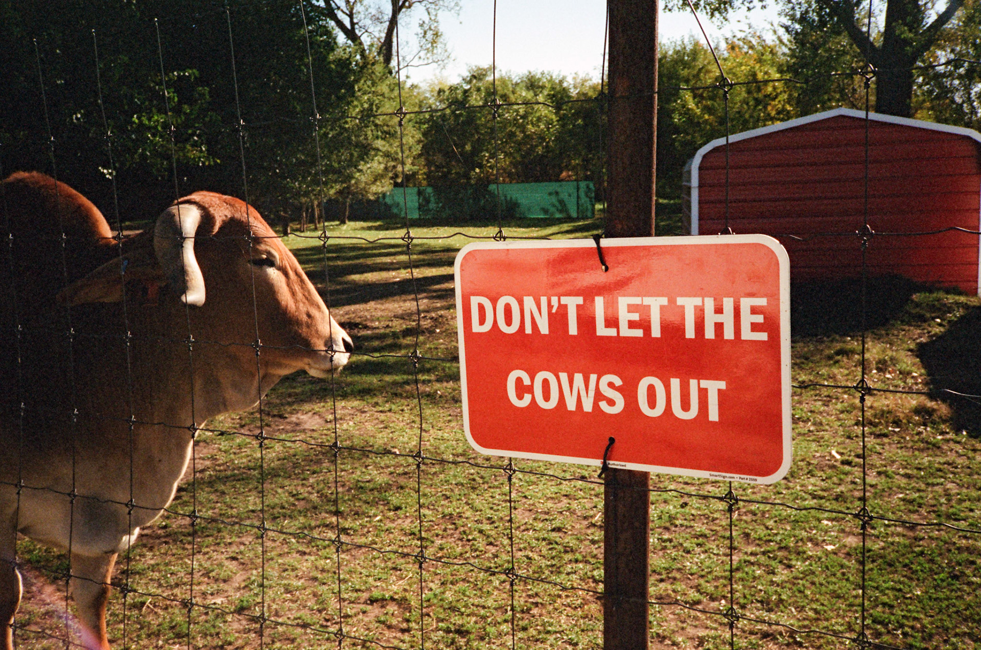 when the money goes, will the honey stay? - Image 34