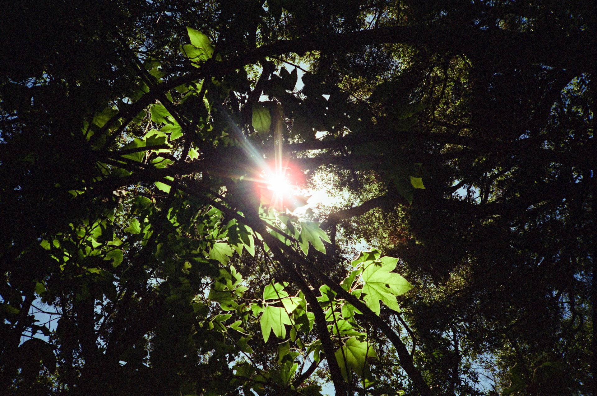 i guess we just go get 'em - Image 8