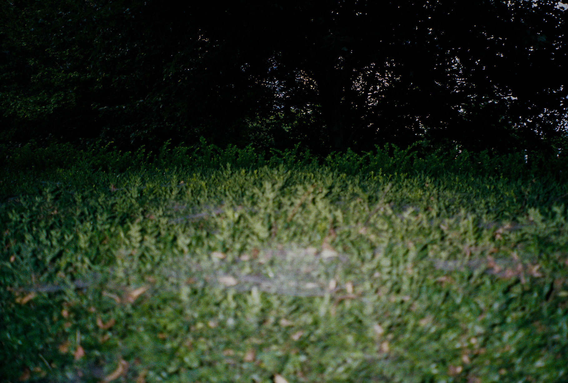 hands in the air if you made it - Image 15