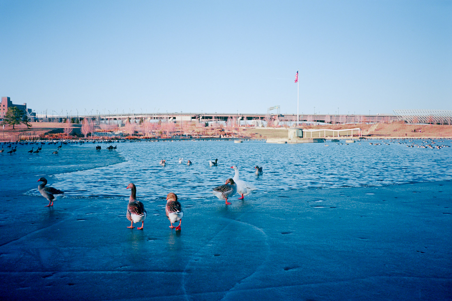 and the beat goes on.. - Image 9