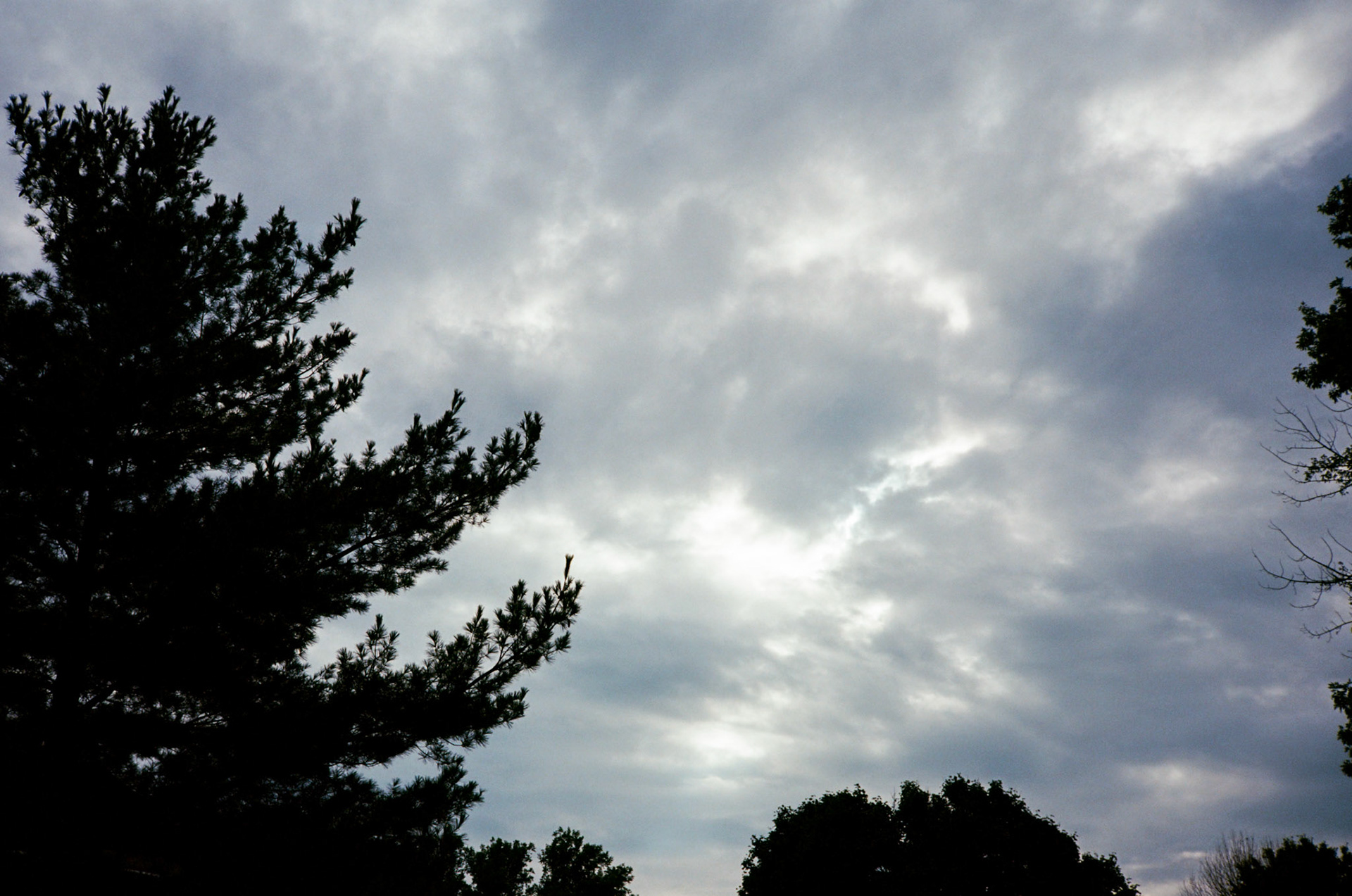 they'll never take the joy from us - Image 45