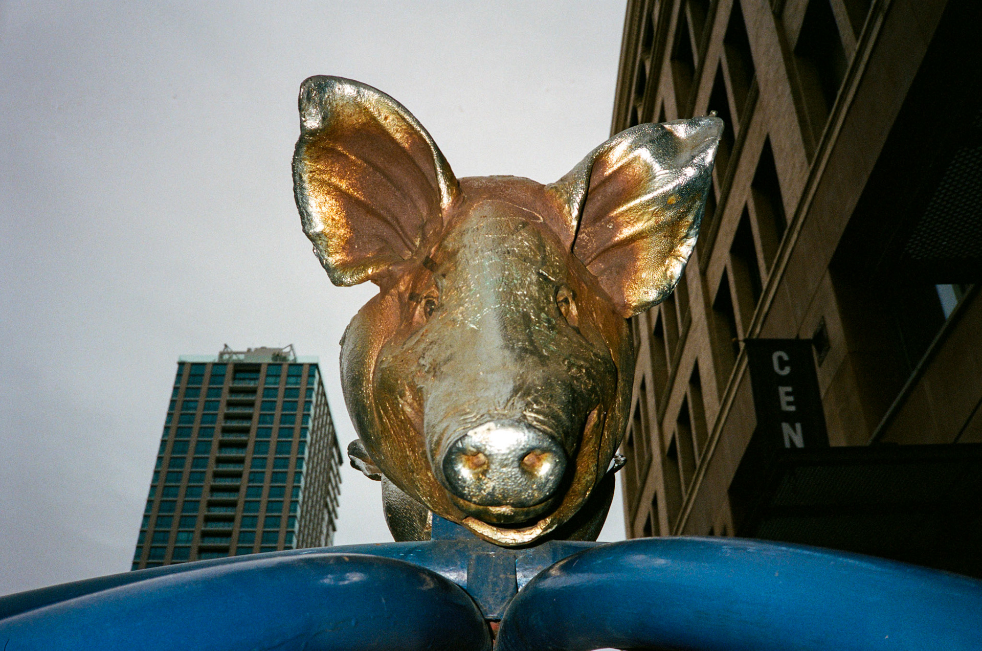 i guess we just go get 'em - Image 22