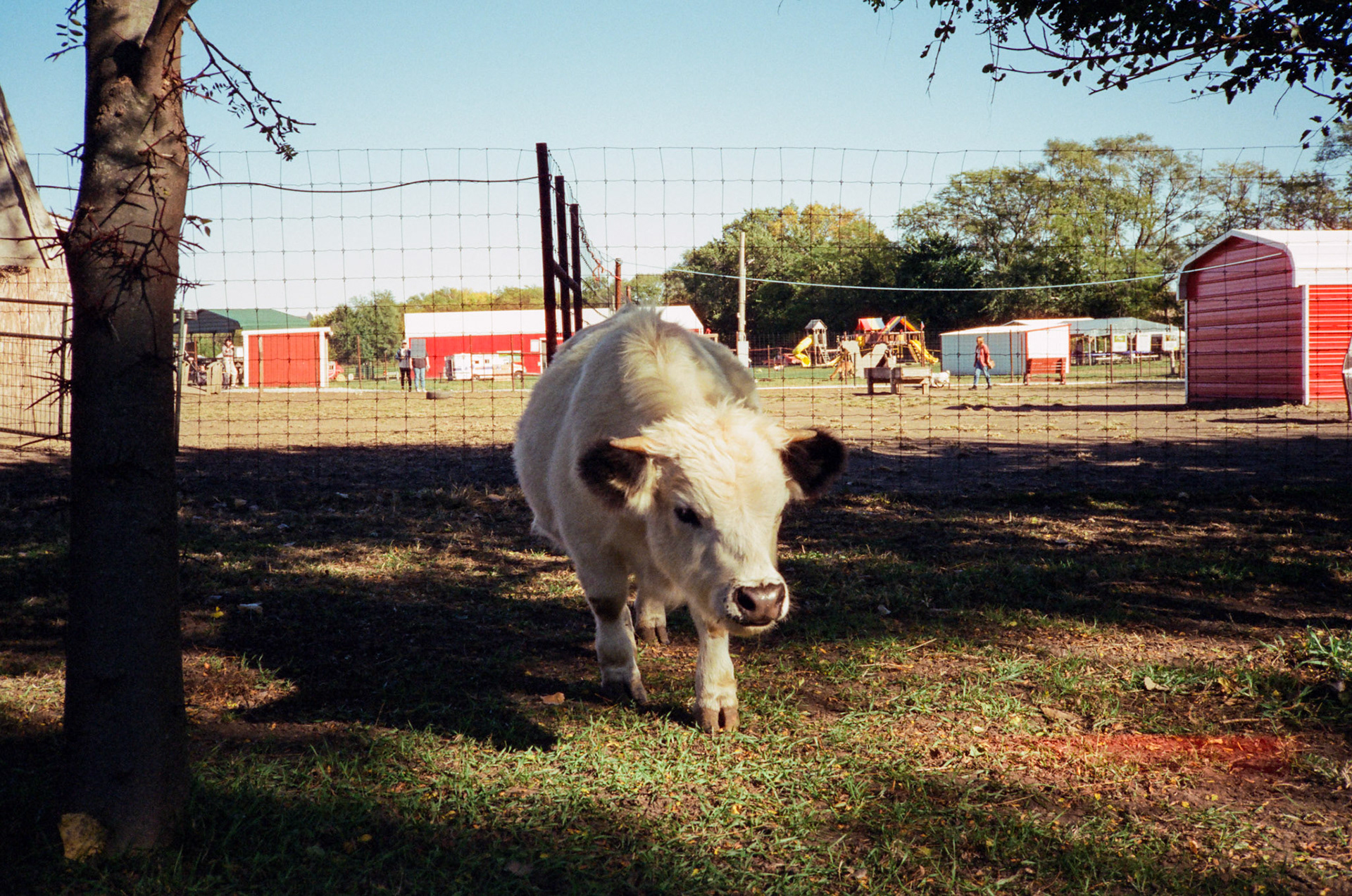 when the money goes, will the honey stay? - Image 76
