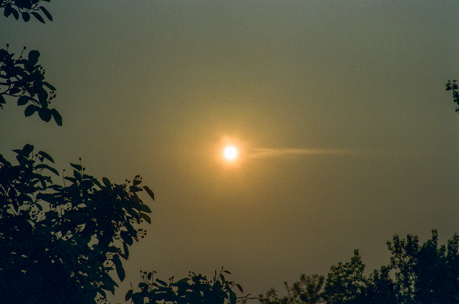 walk out the door - Image 90