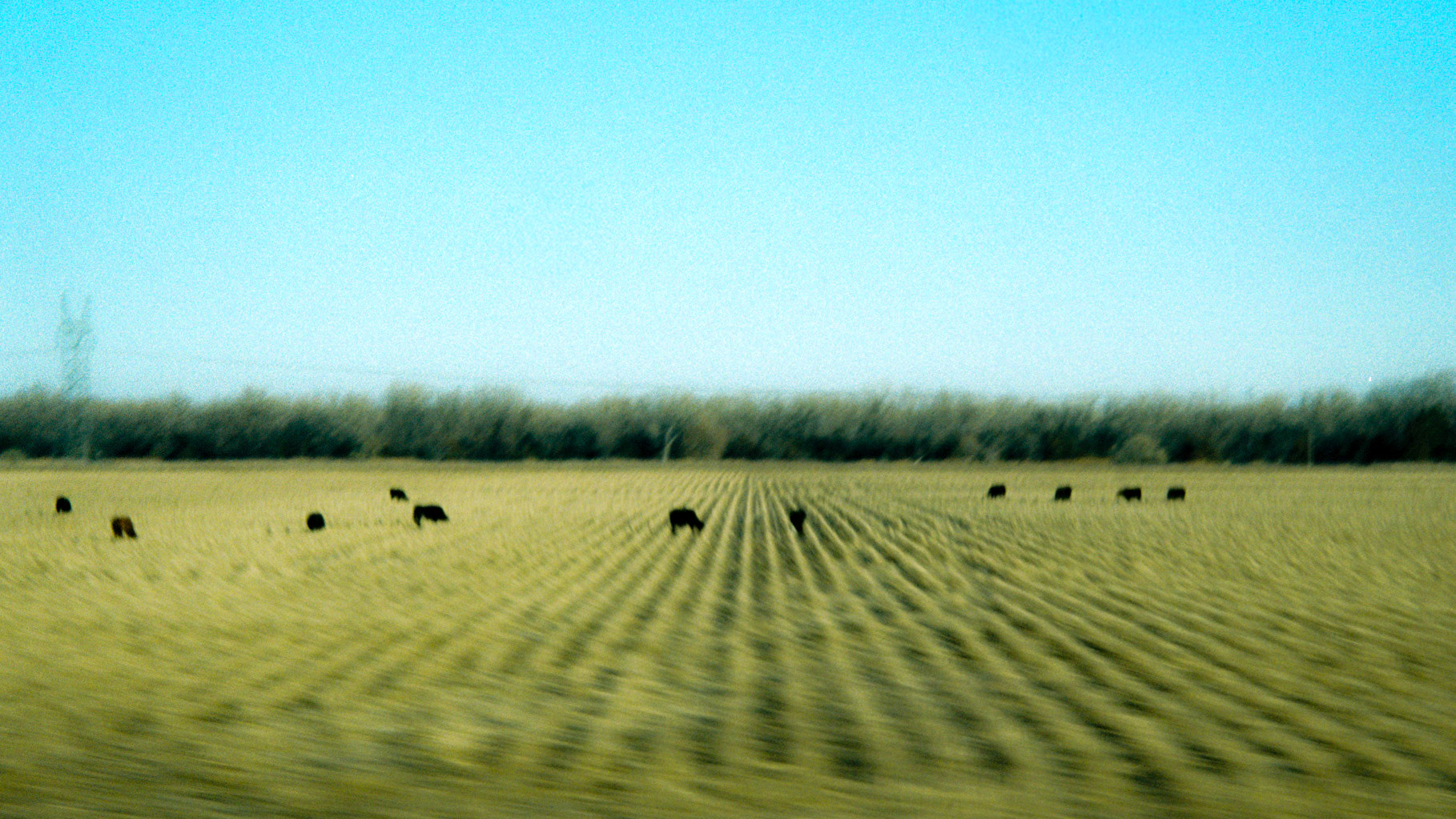 hands in the air if you made it - Image 7