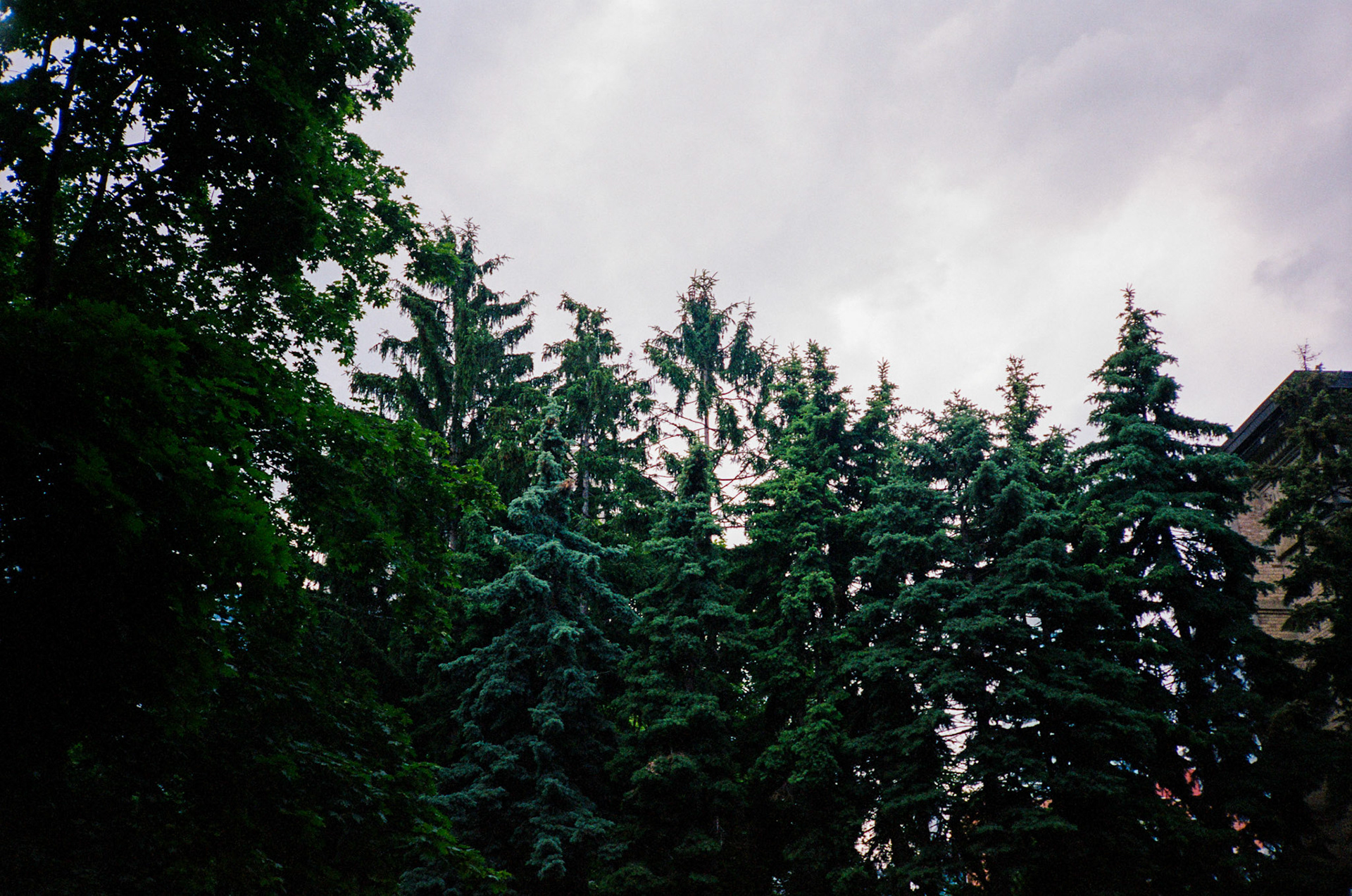 walk out the door - Image 65