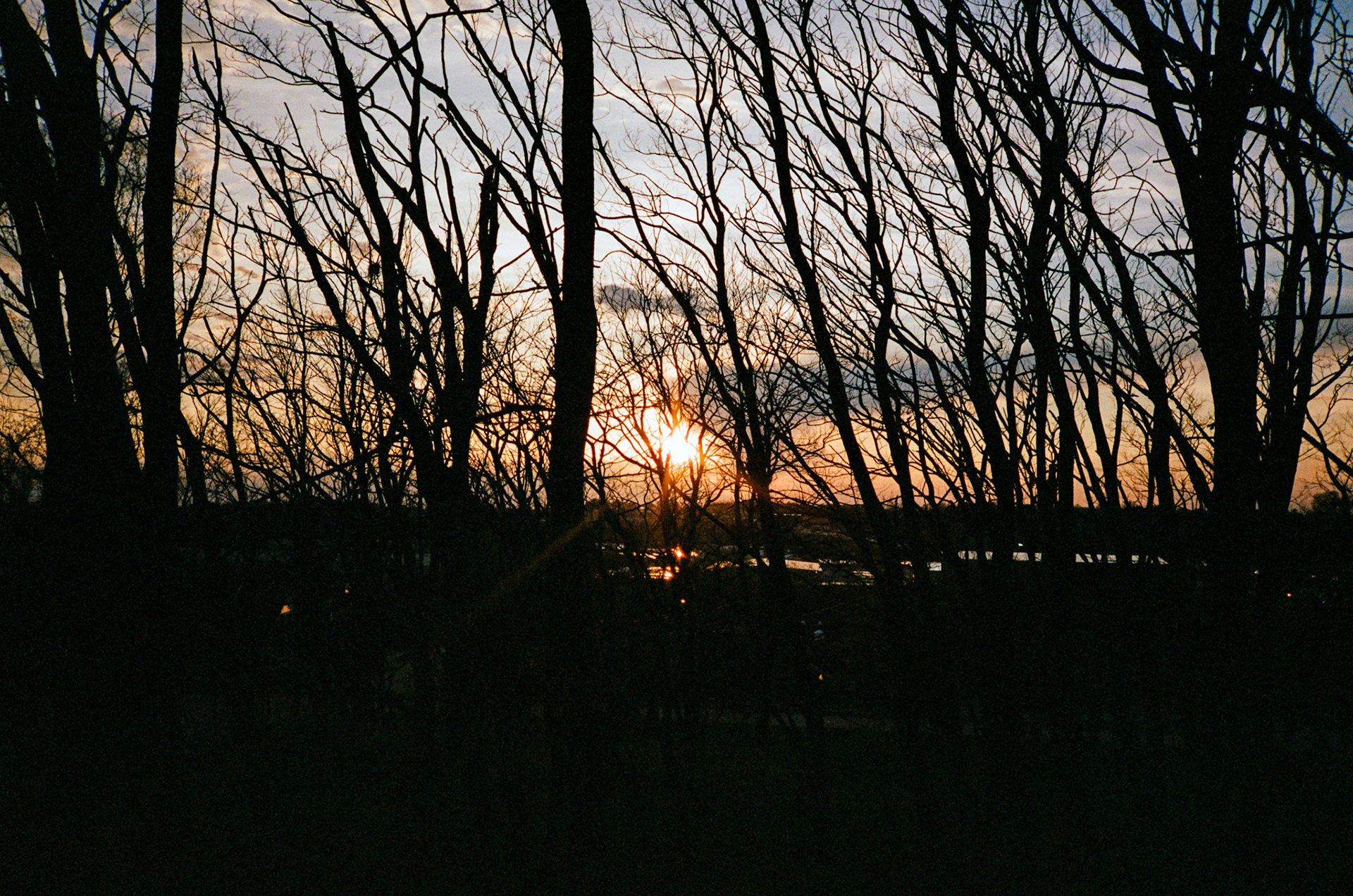 i guess we just go get 'em - Image 113