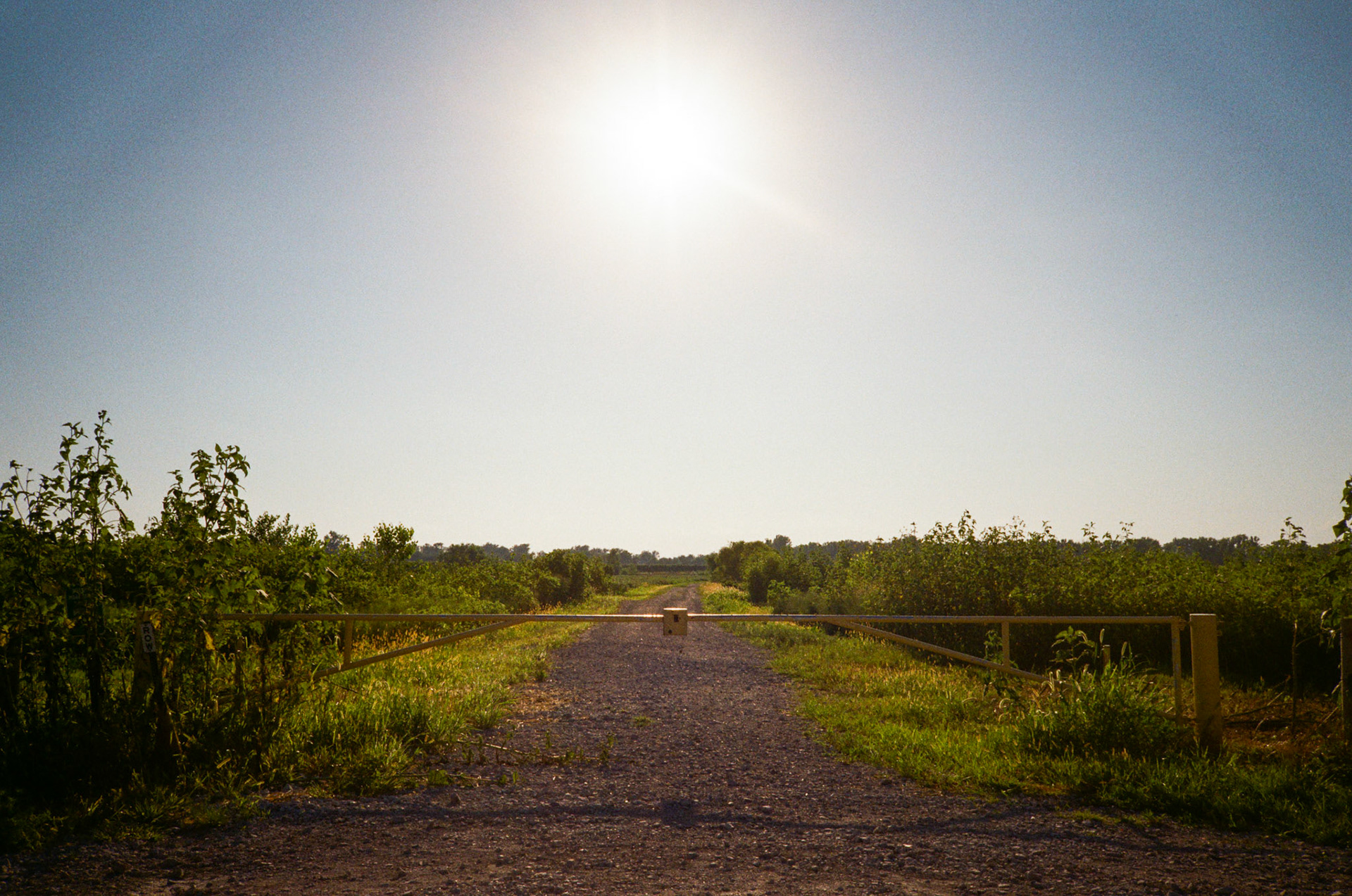 how fast can it go? - Image 27