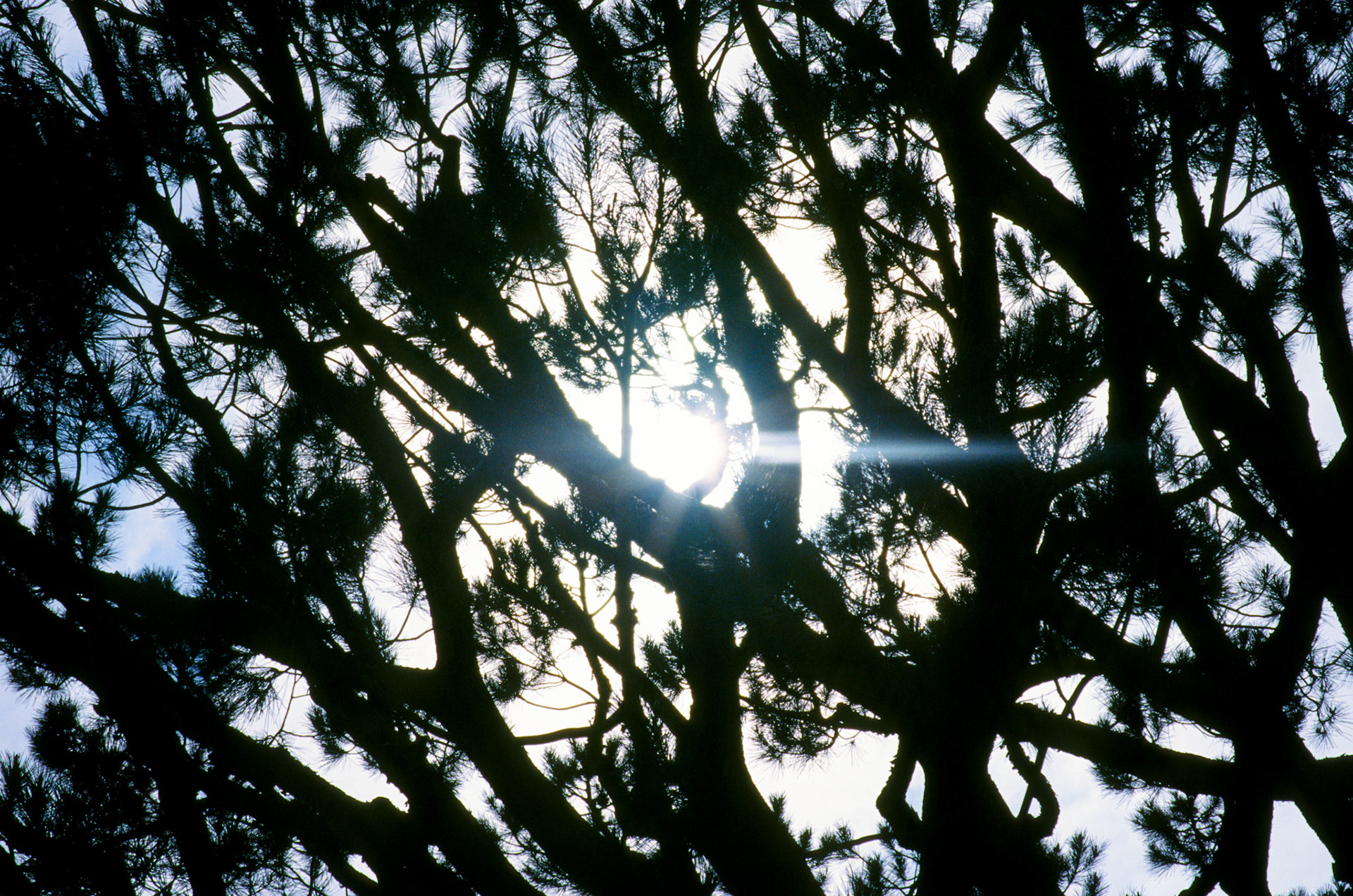 i guess we just go get 'em - Image 58